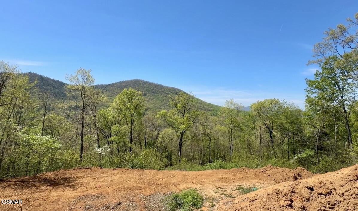 520 Stevia Way Cosby TN 37722