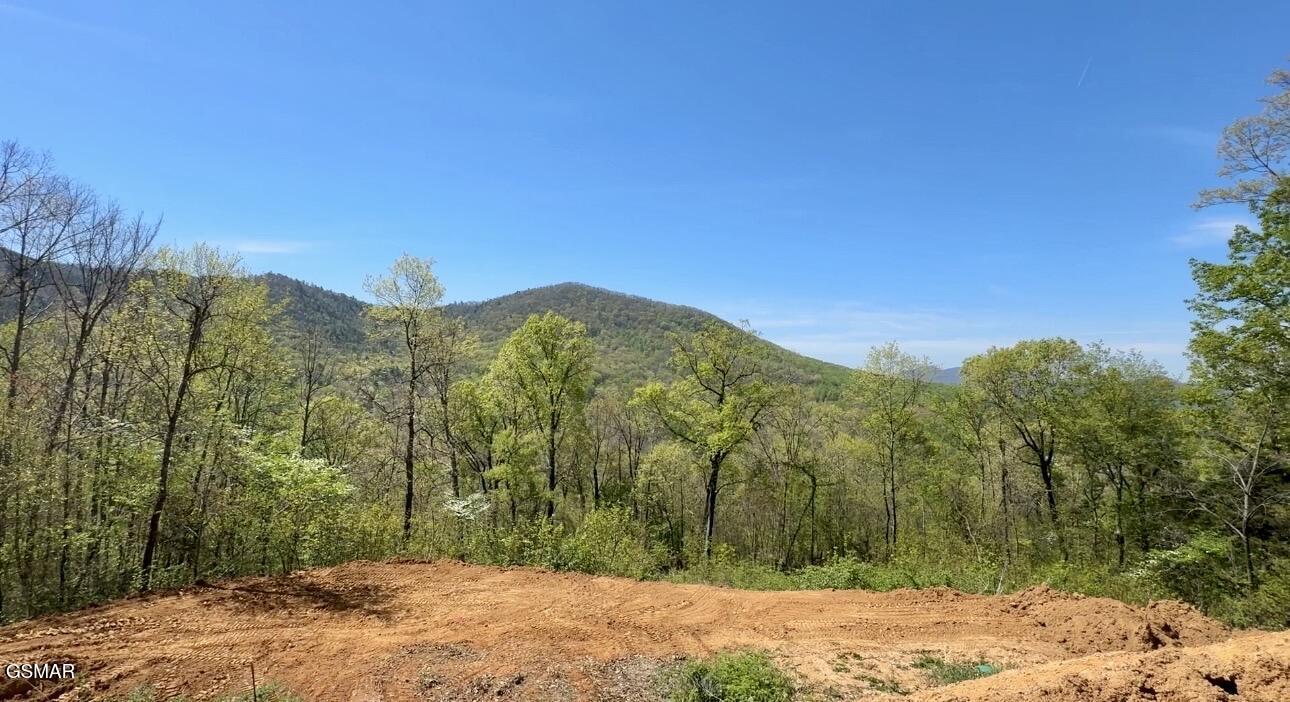 520 Stevia Way Cosby TN 37722