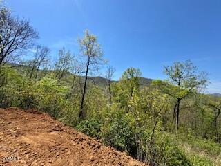 520 Stevia Way Cosby TN 37722