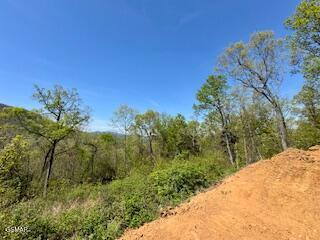 520 Stevia Way Cosby TN 37722