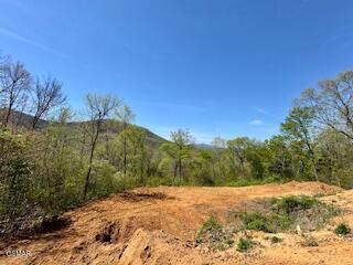 520 Stevia Way Cosby TN 37722