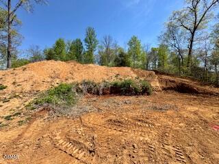 520 Stevia Way Cosby TN 37722