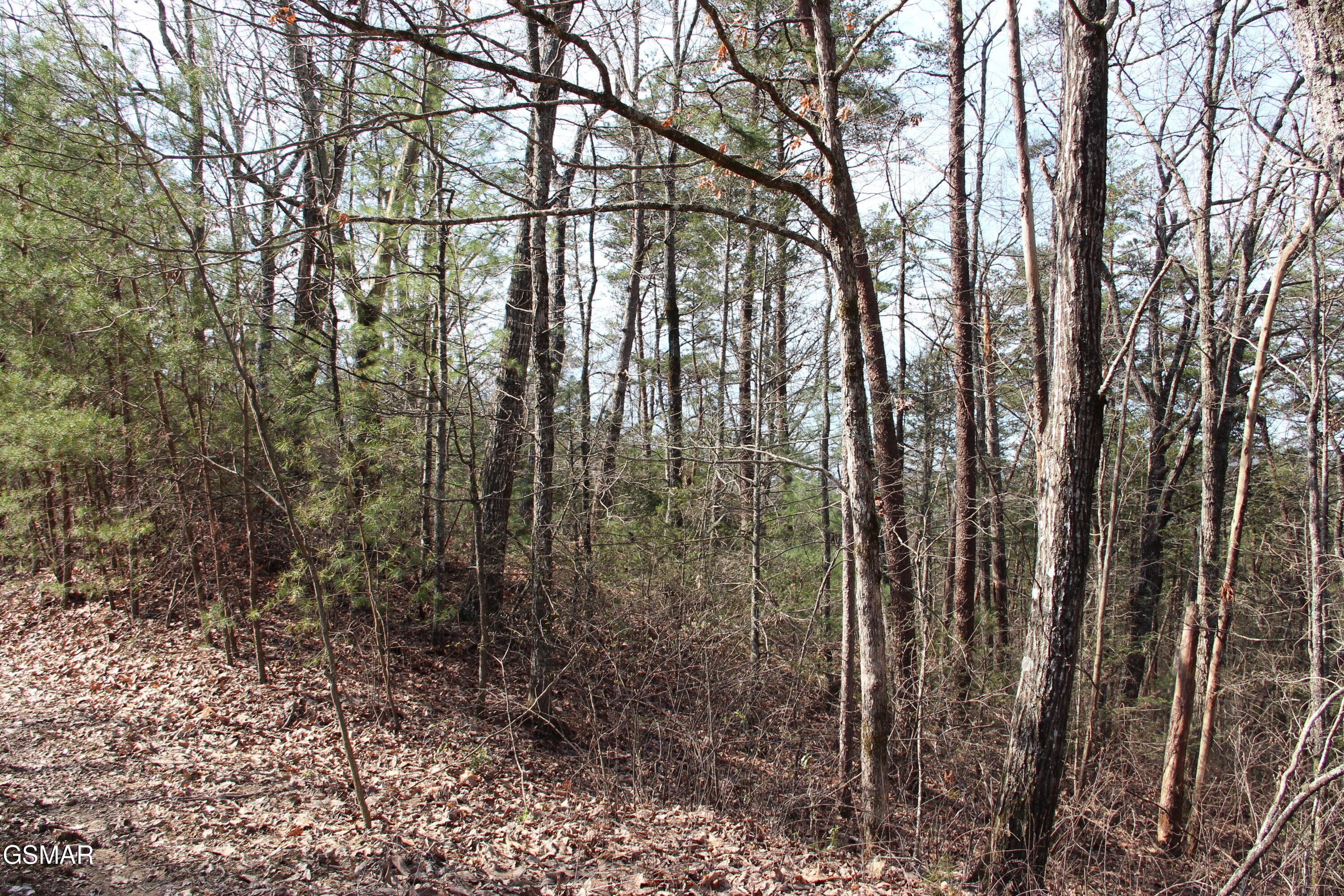 Lot 19 Ridge View Drive Sevierville TN 37876