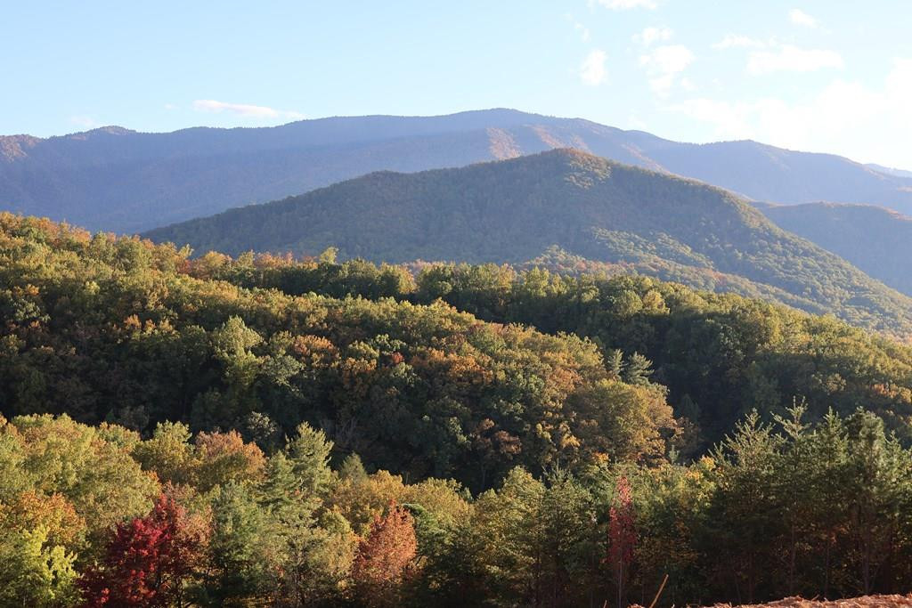 250 Sonshine Ridge Road Cosby TN 37722