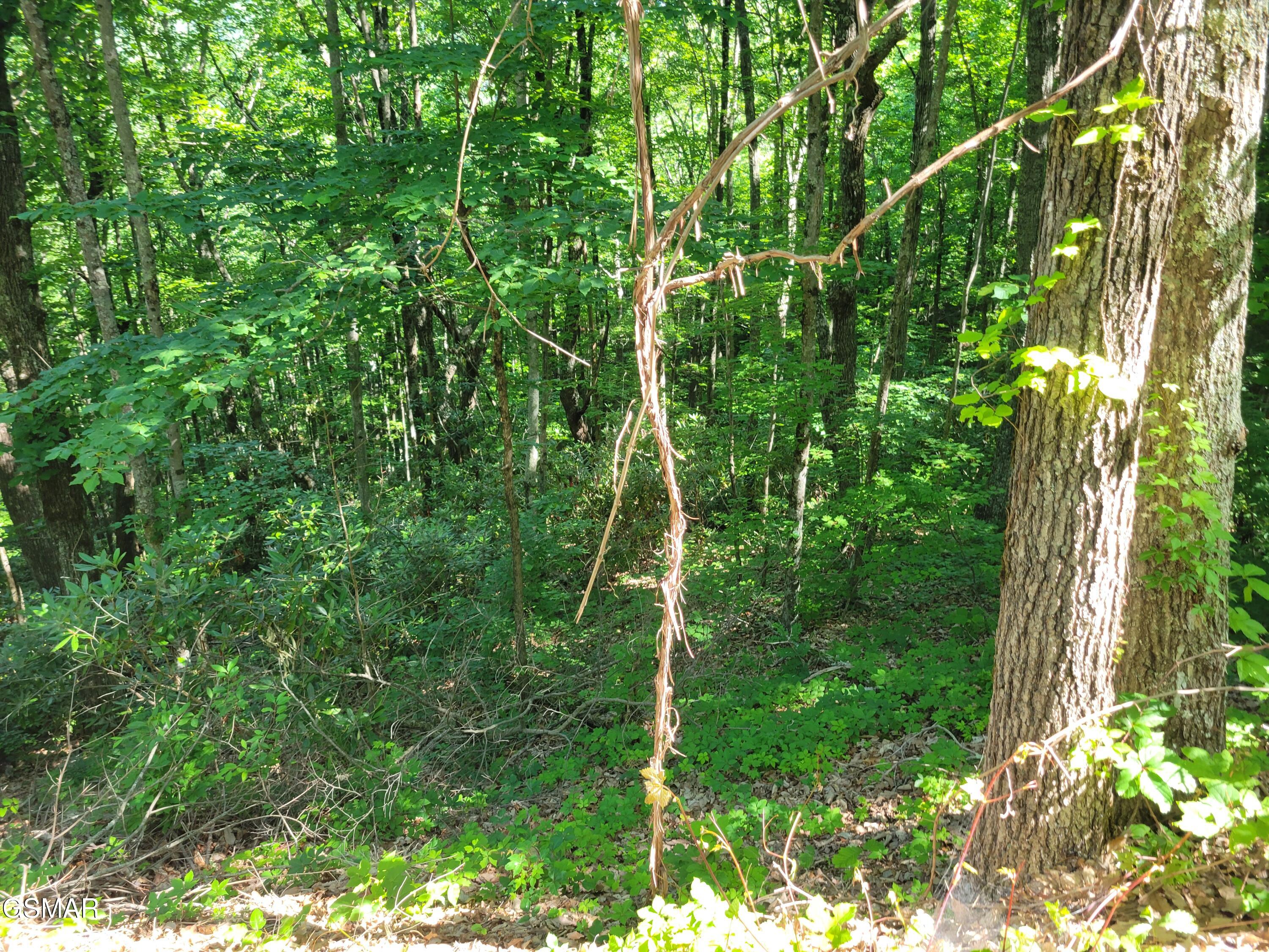 Lot 20 Sunset Drive Sevierville TN 37876