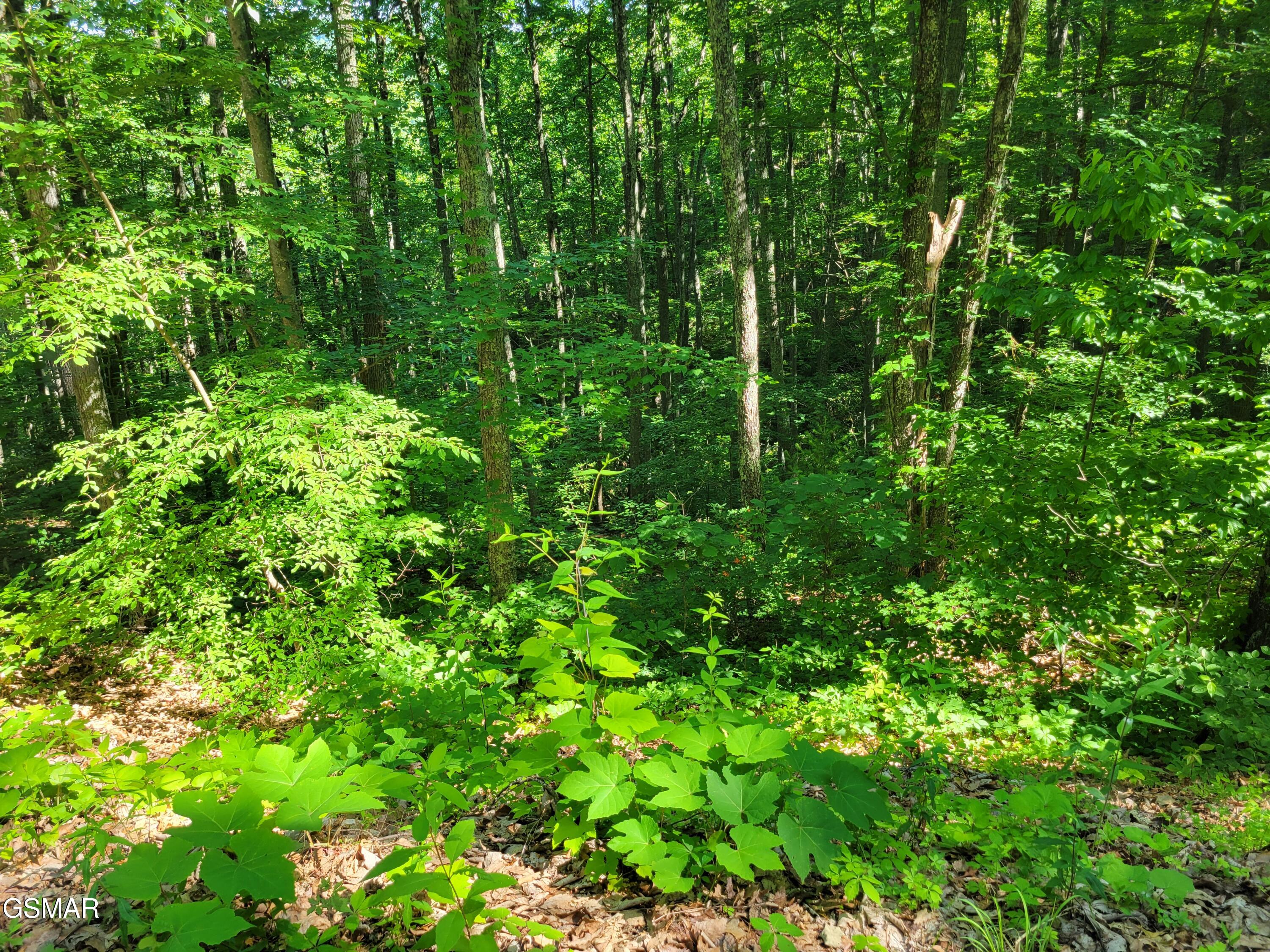 Lot 20 Sunset Drive Sevierville TN 37876