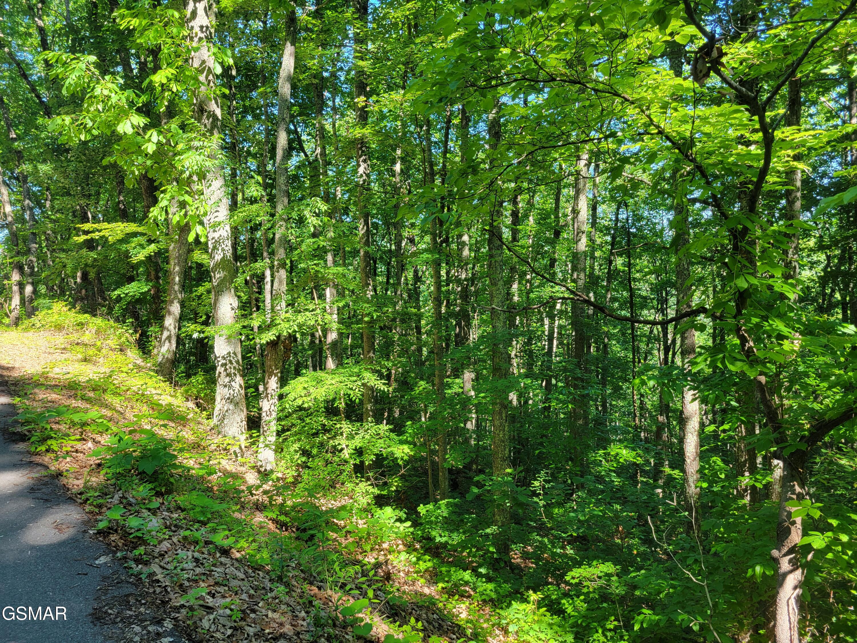 Lot 20 Sunset Drive Sevierville TN 37876