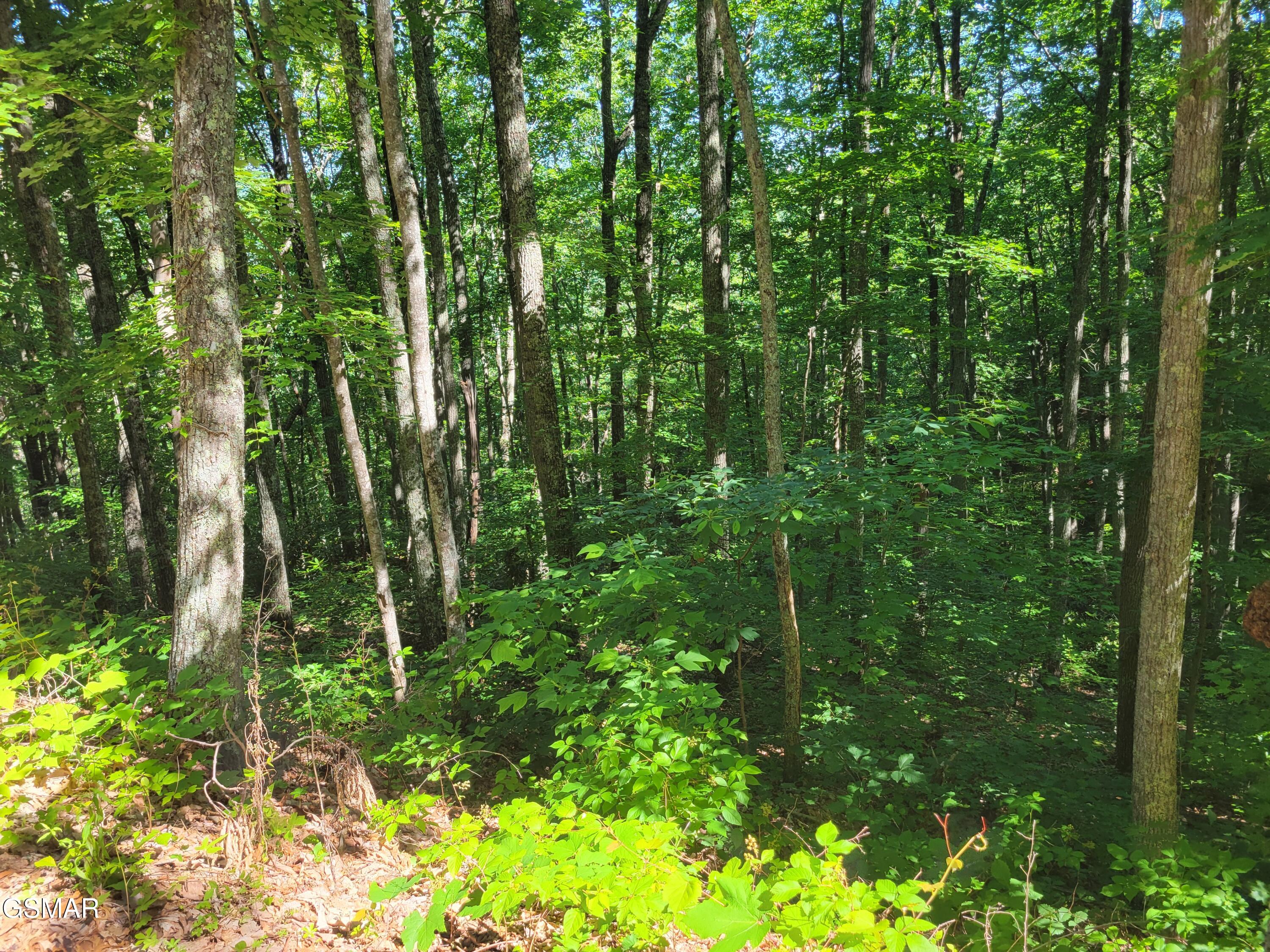 Lot 20 Sunset Drive Sevierville TN 37876
