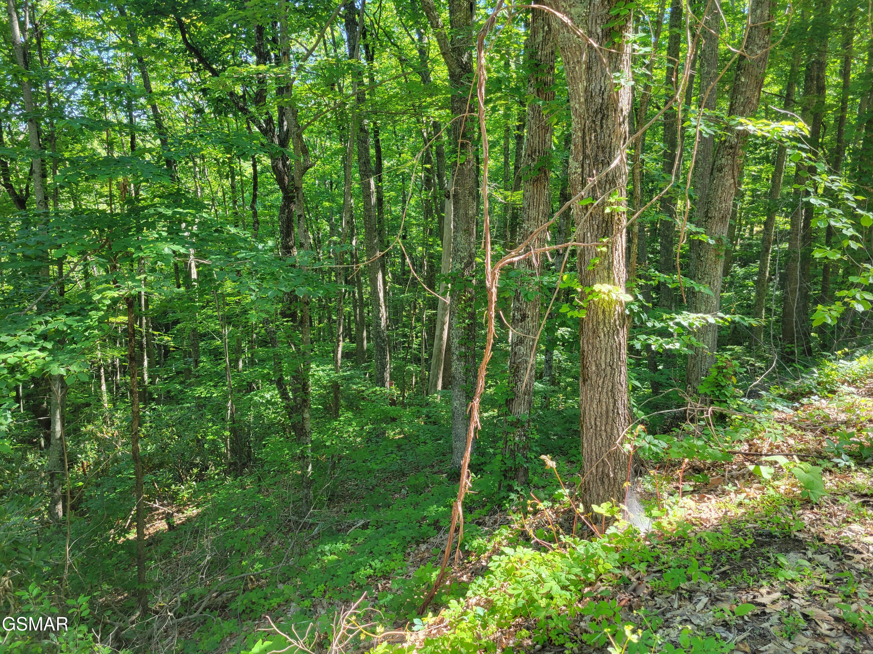 Lot 20 Sunset Drive Sevierville TN 37876