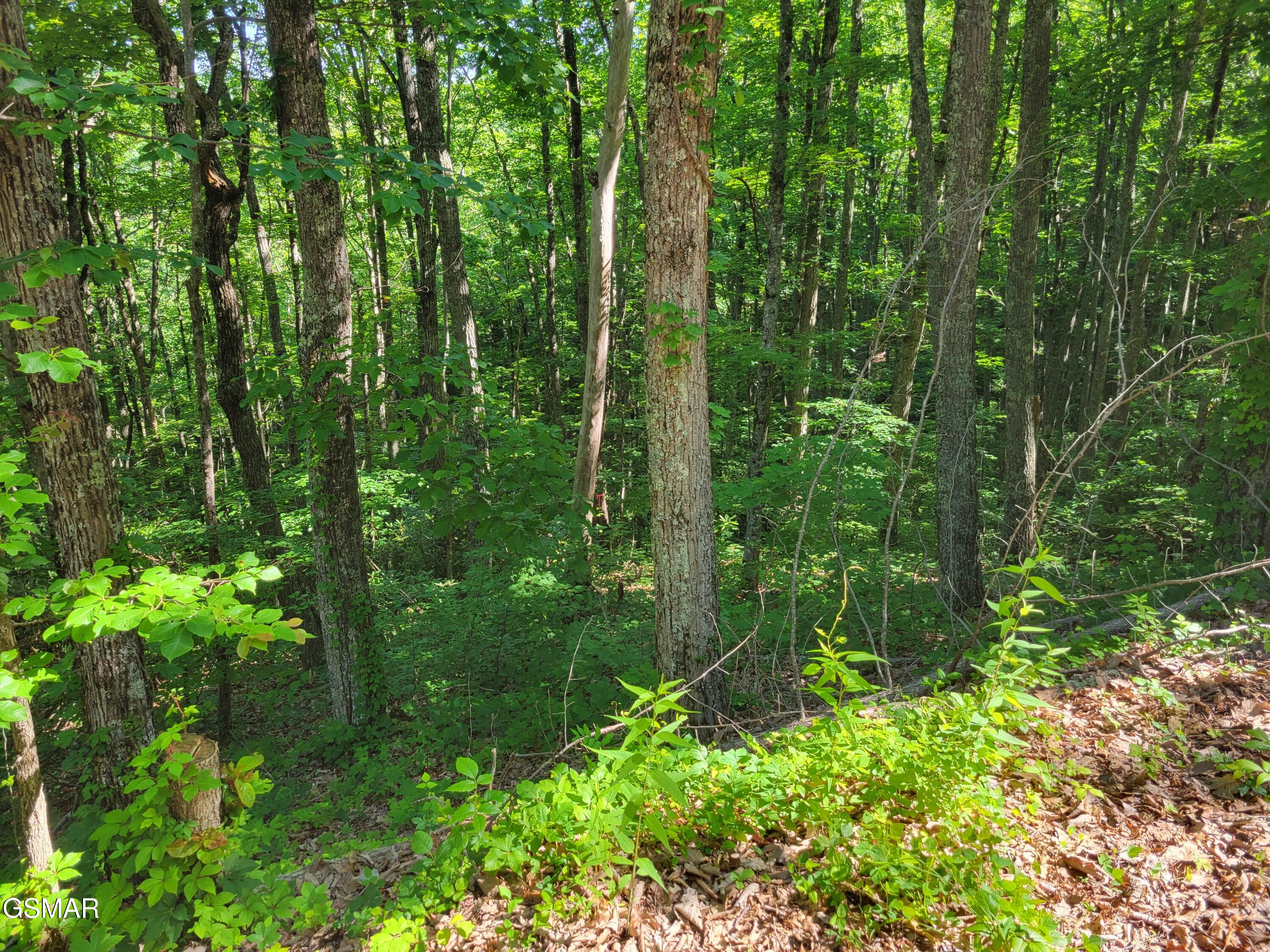 Lot 20 Sunset Drive Sevierville TN 37876