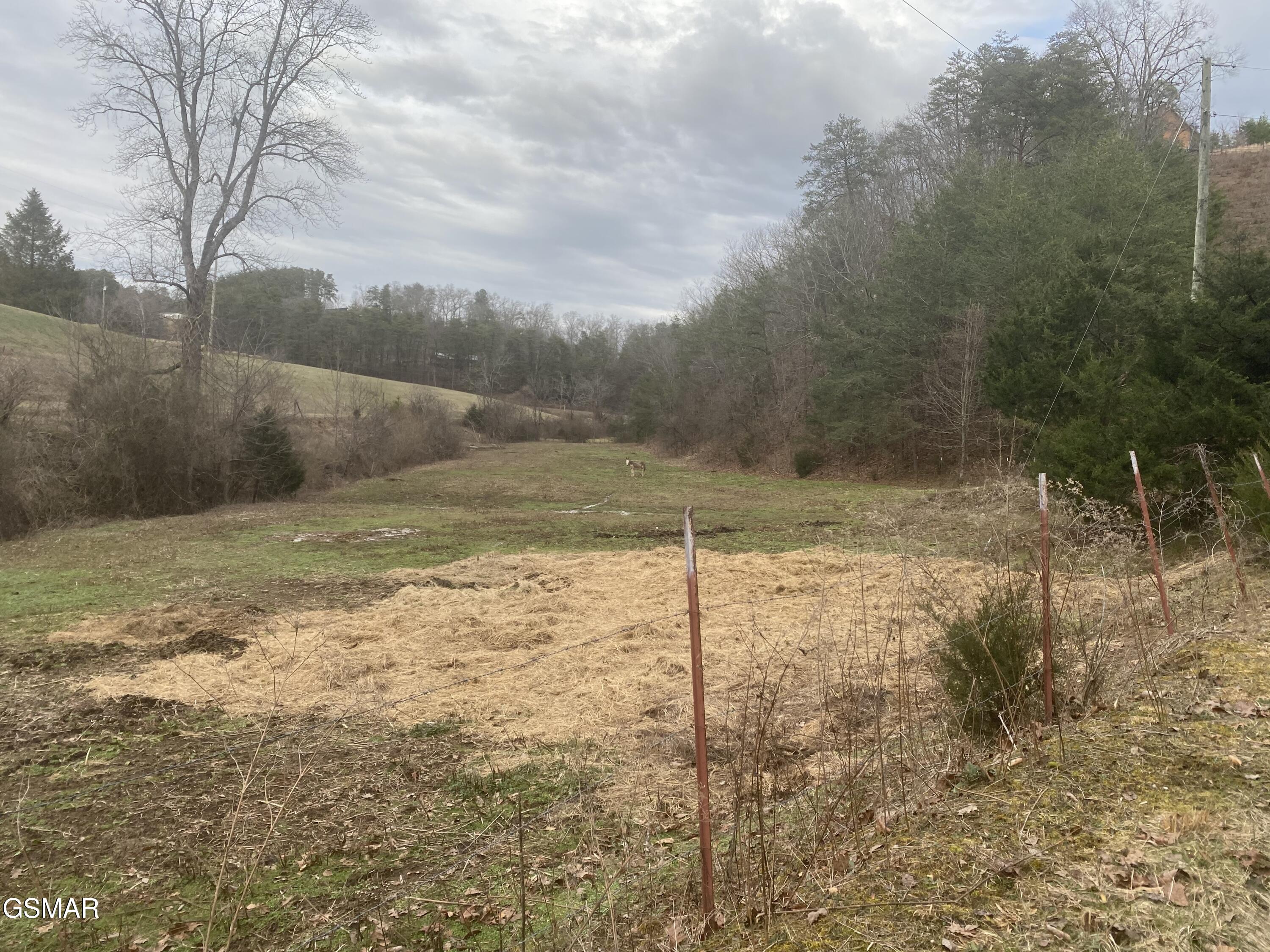 1440 Goose Gap Road Sevierville TN 37876