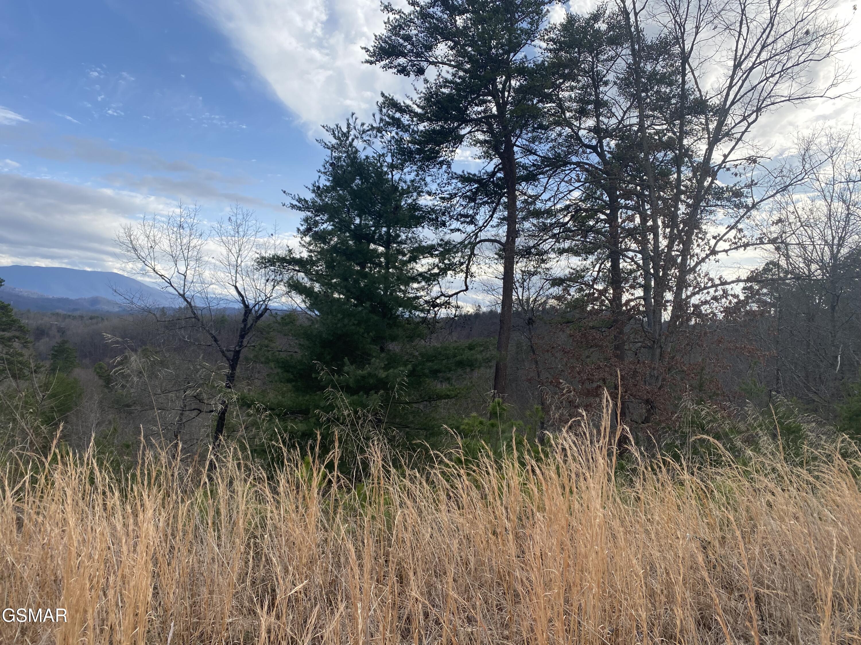 1440 Goose Gap Road Sevierville TN 37876
