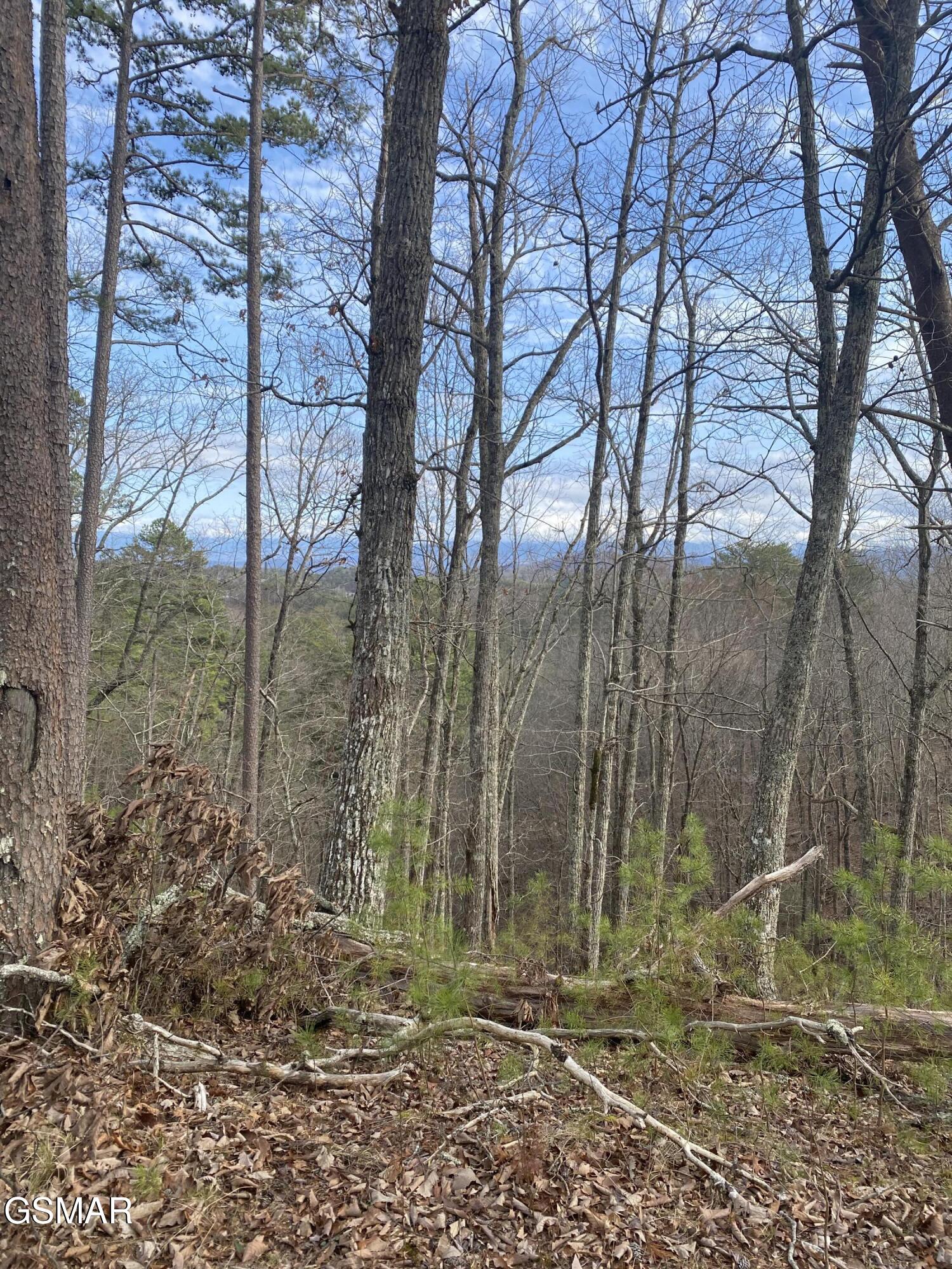 1440 Goose Gap Road Sevierville TN 37876