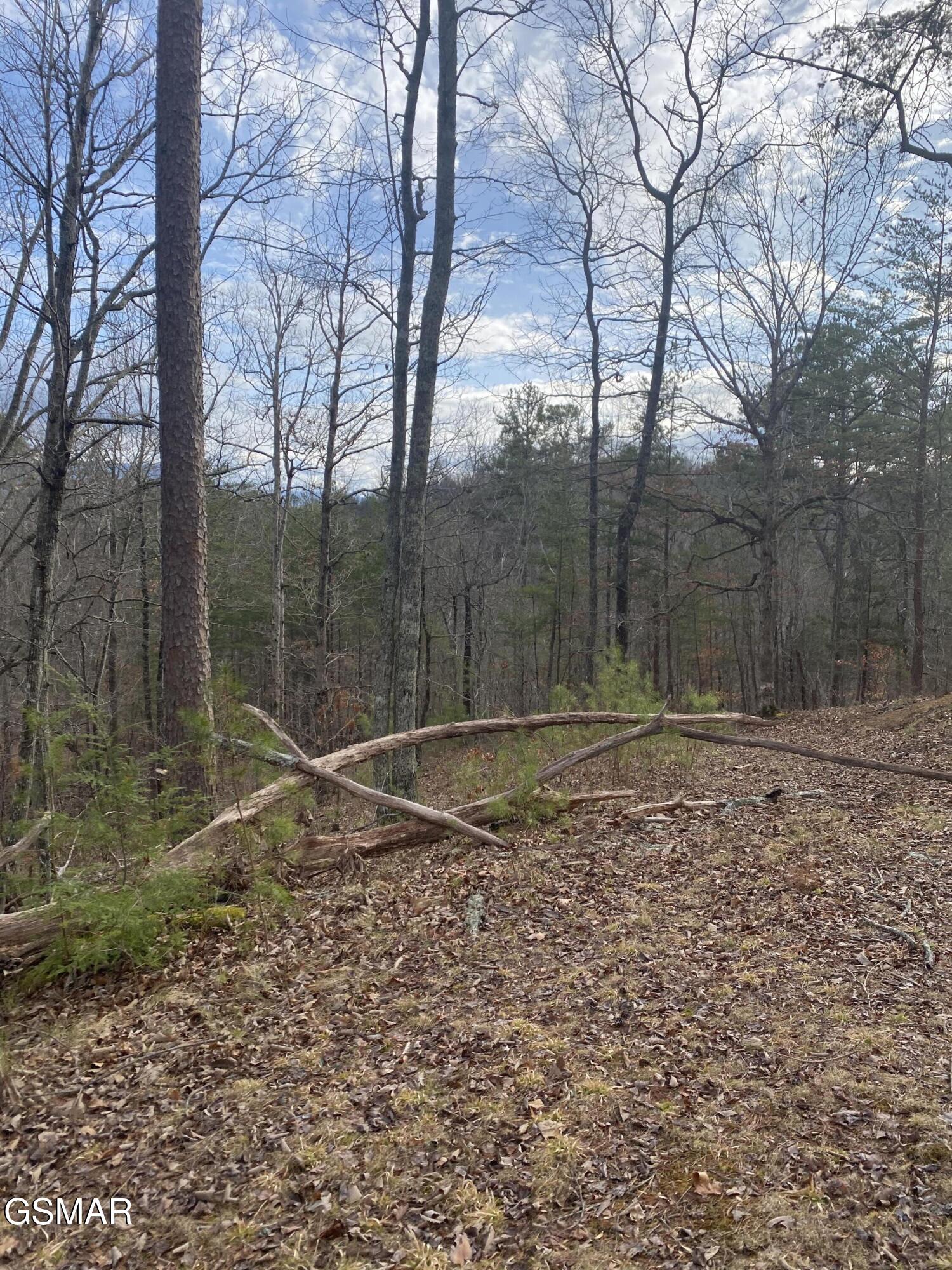 1440 Goose Gap Road Sevierville TN 37876
