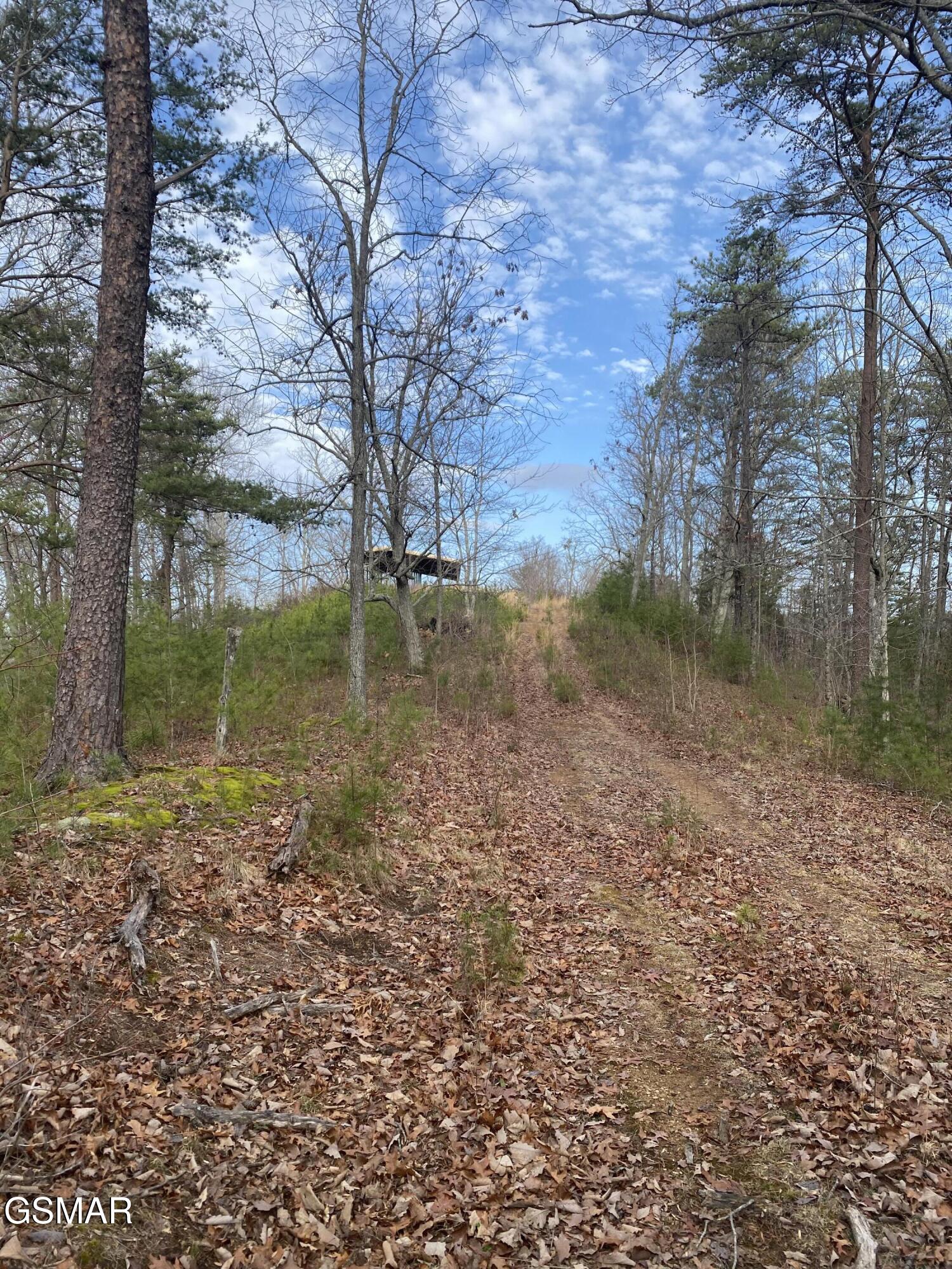 1440 Goose Gap Road Sevierville TN 37876