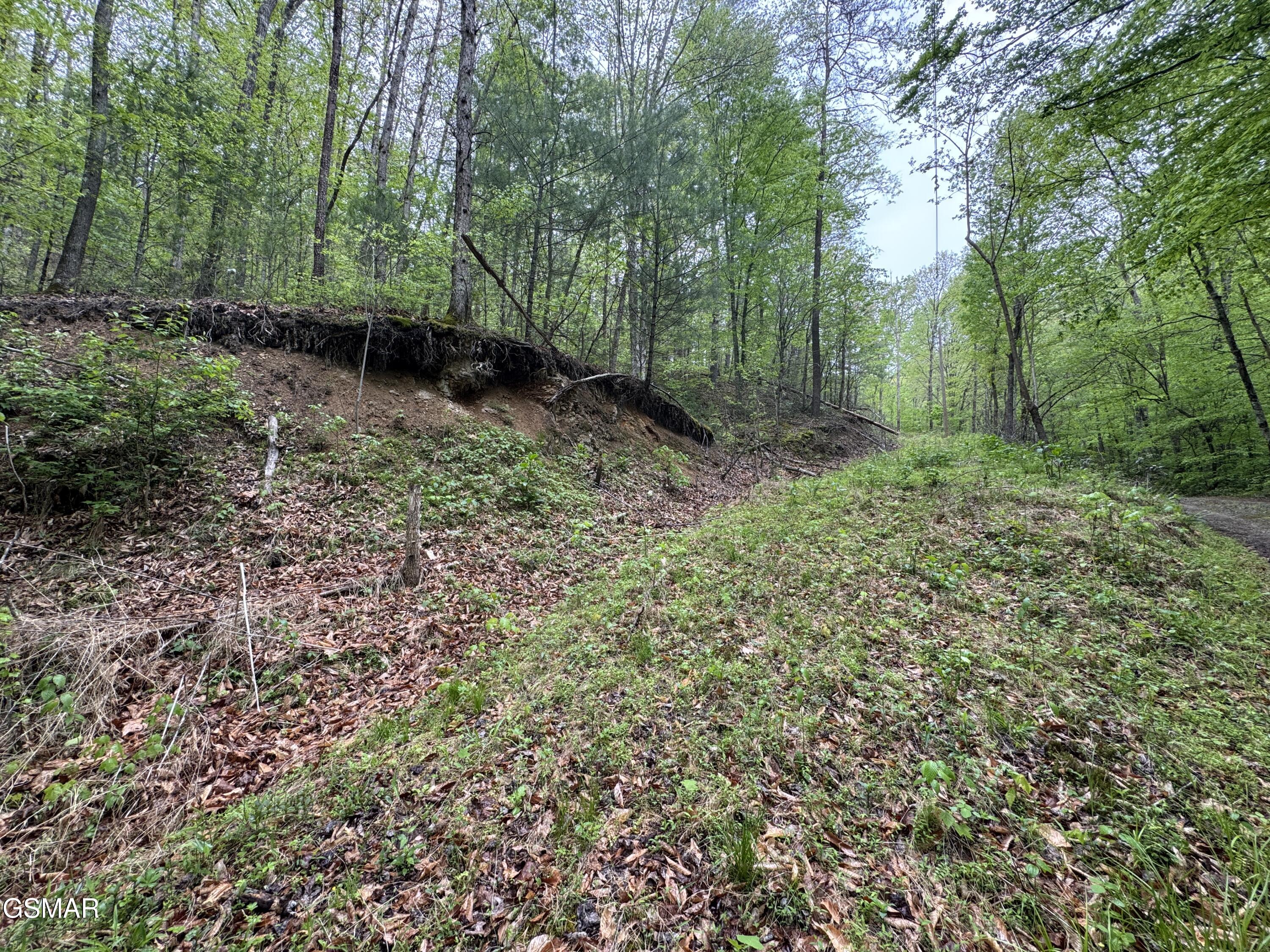 376 Summer House Hollow Road Del Rio TN 37727