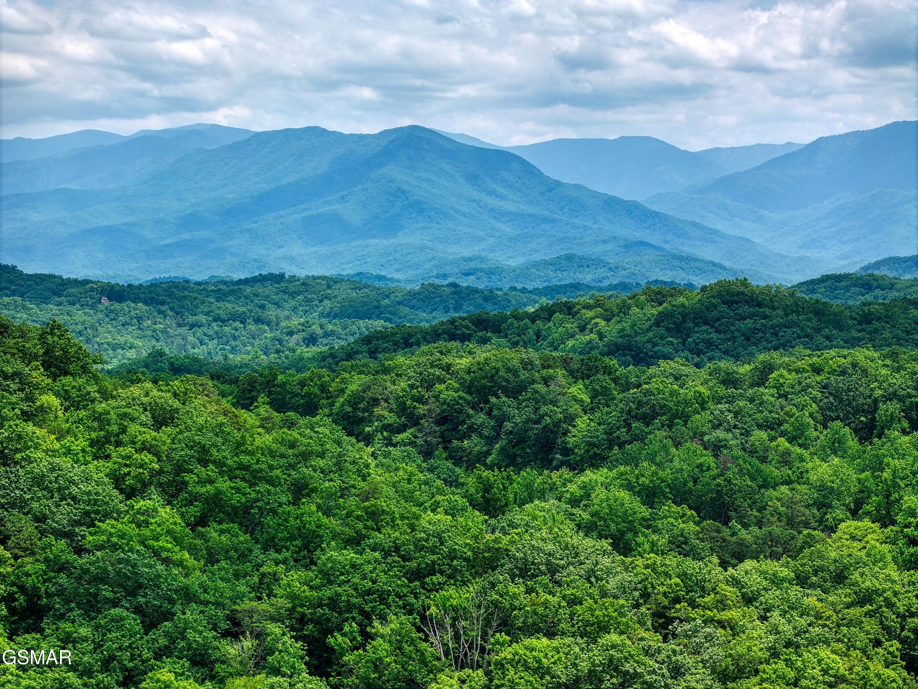 1A 4255 Lower Powdermill Road Sevierville TN 37876