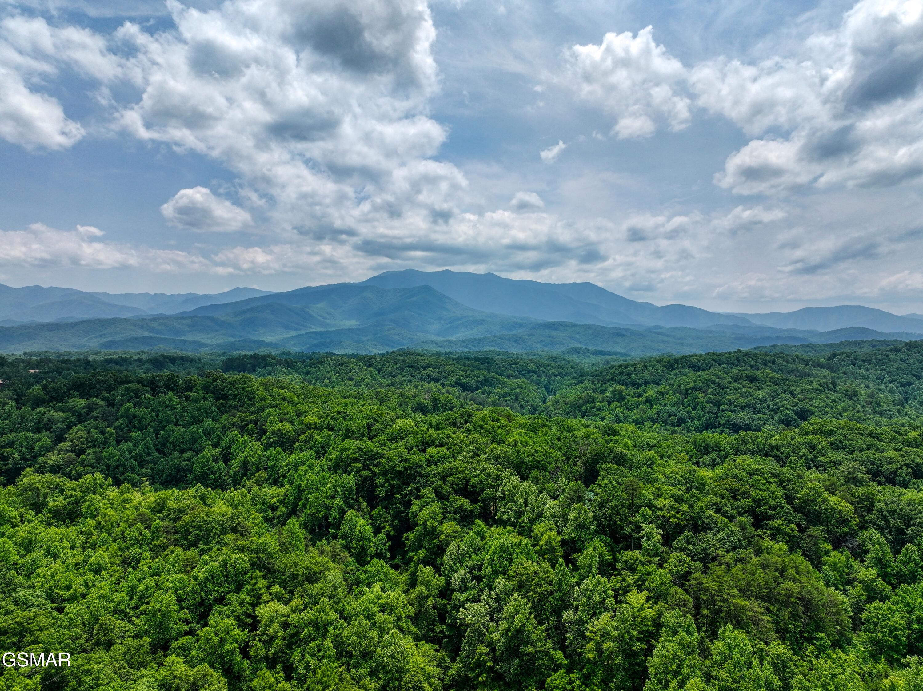 1A 4255 Lower Powdermill Road Sevierville TN 37876