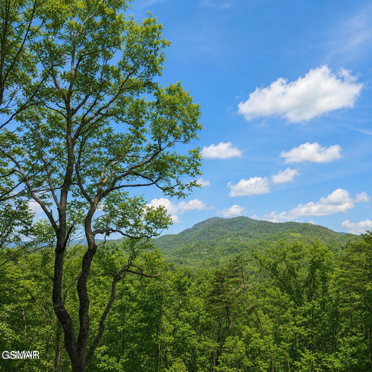 0 Grouse Ridge Lane Sevierville TN 37862