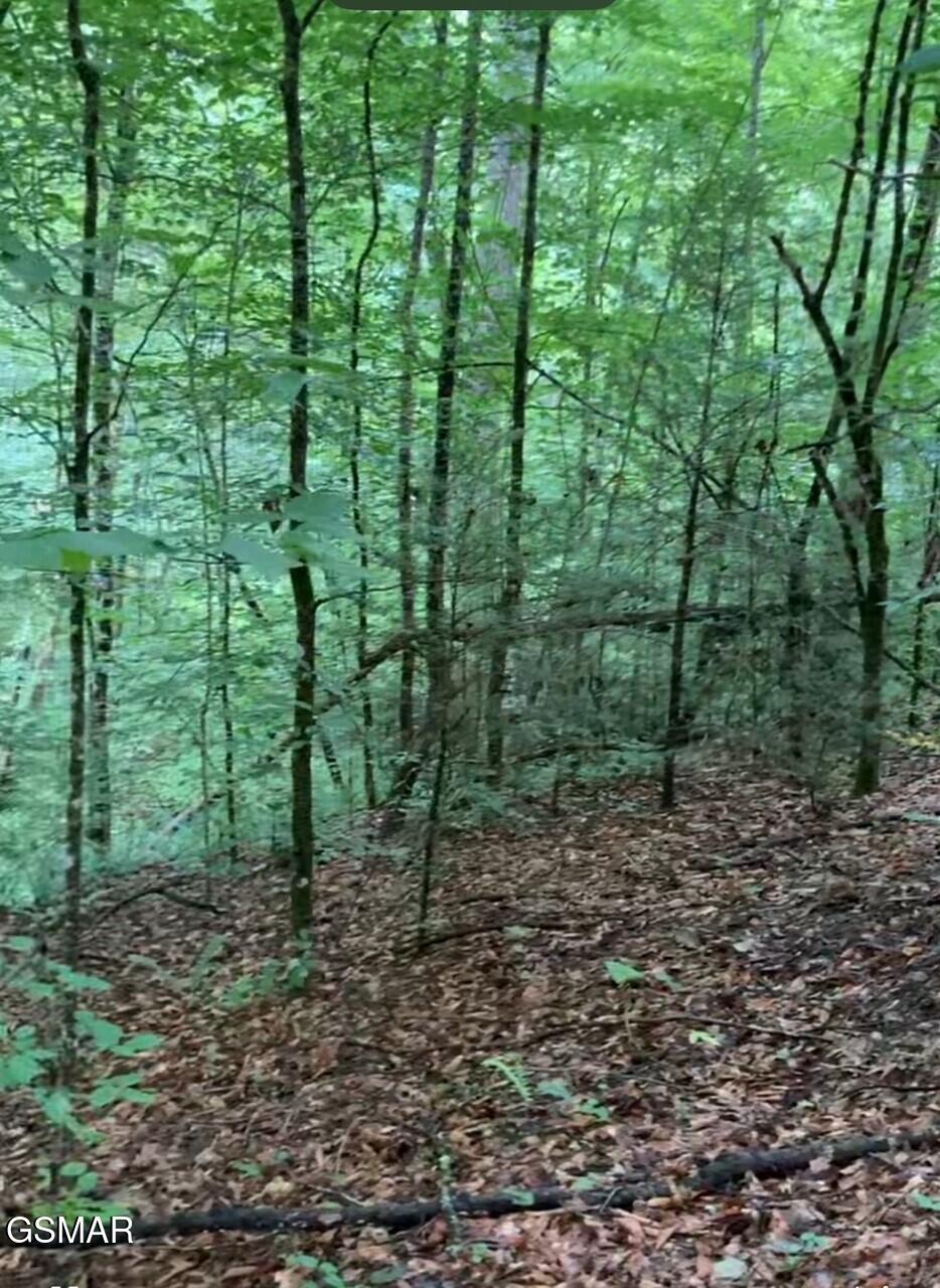 1477 Old Chilhowee Road Seymour TN 37865