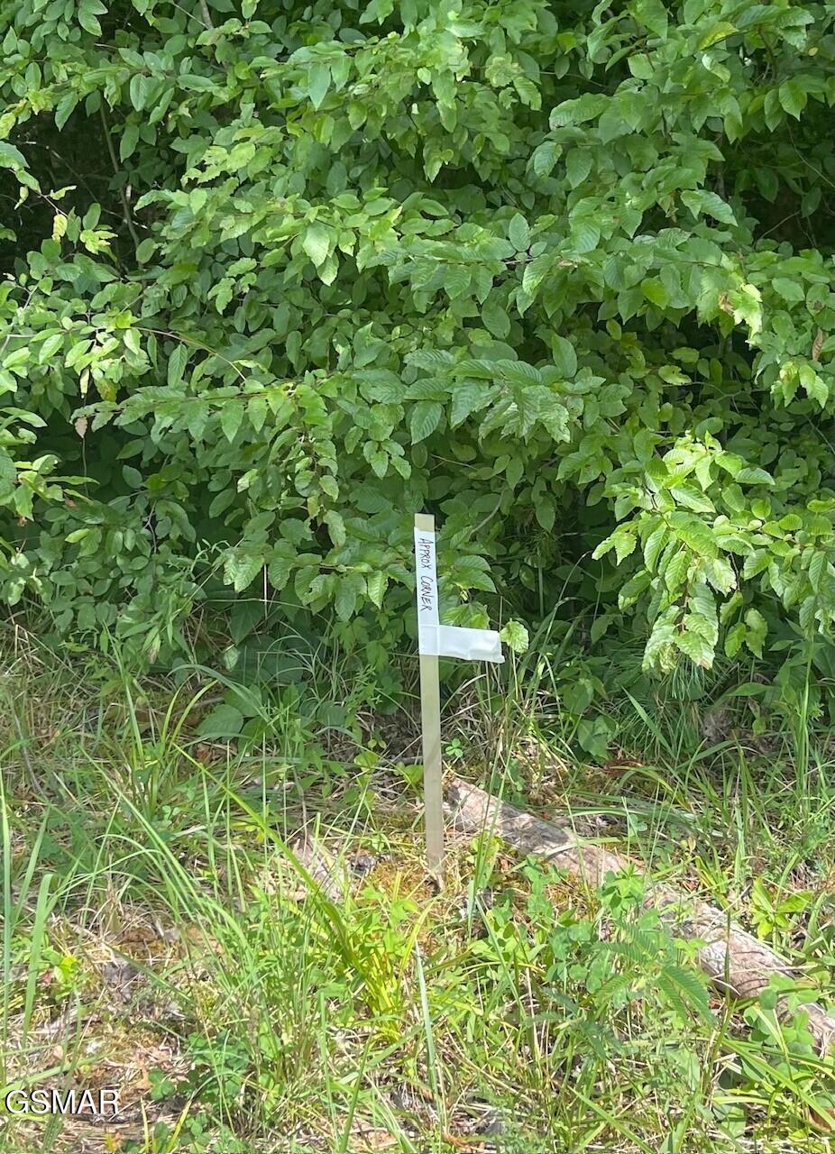 1477 Old Chilhowee Road Seymour TN 37865