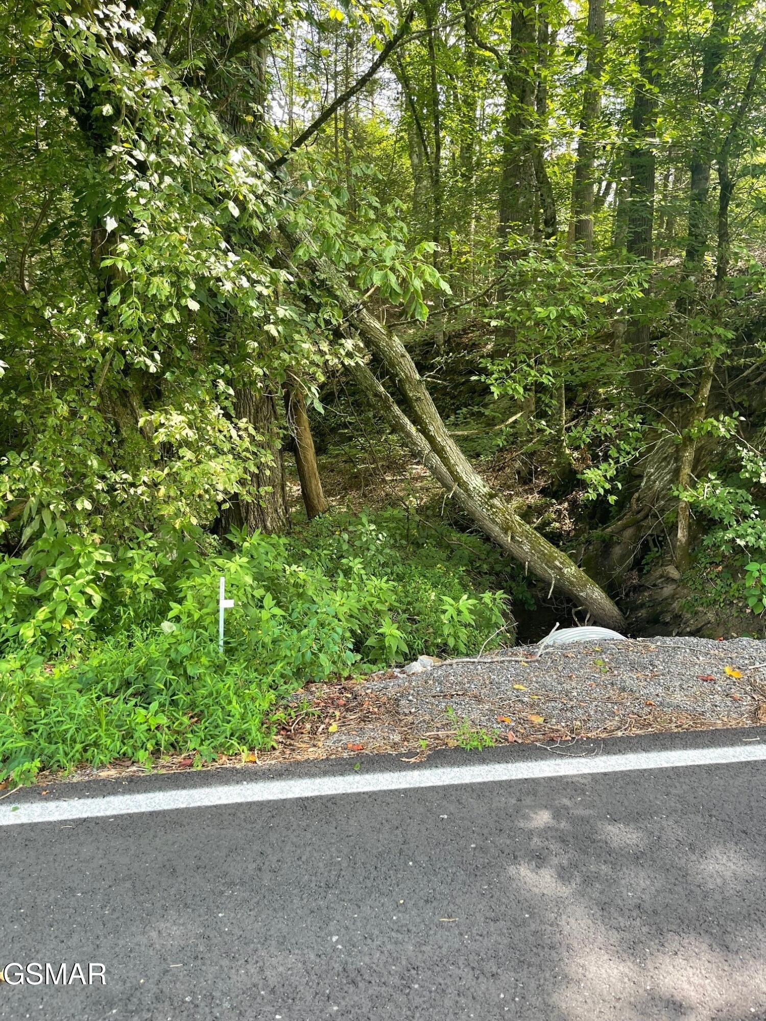 1477 Old Chilhowee Road Seymour TN 37865
