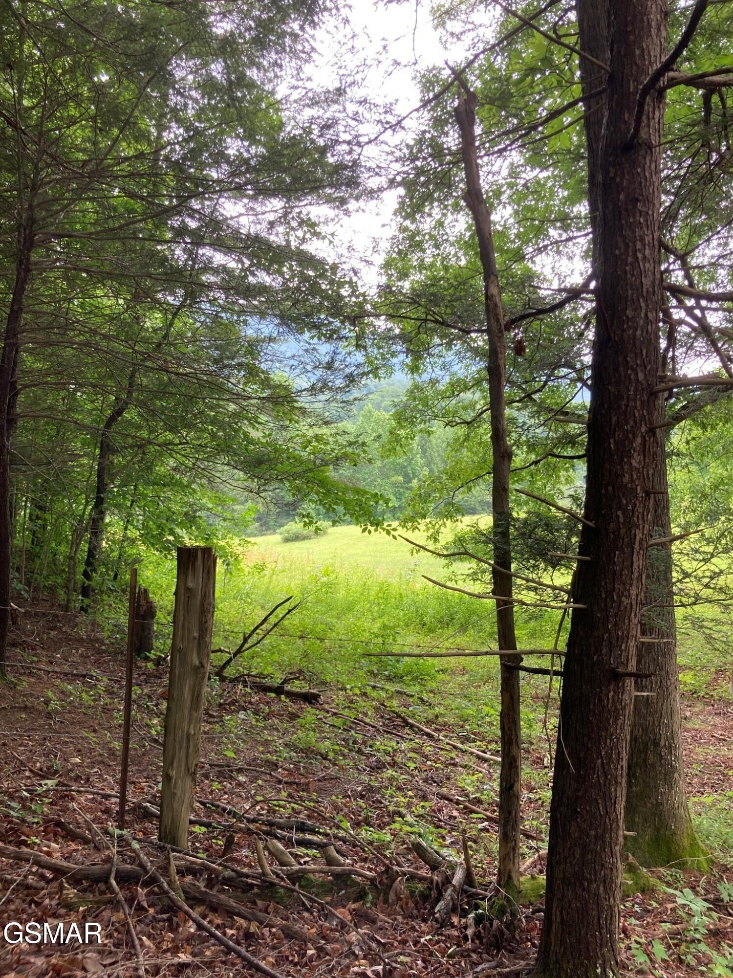 1477 Old Chilhowee Road Seymour TN 37865