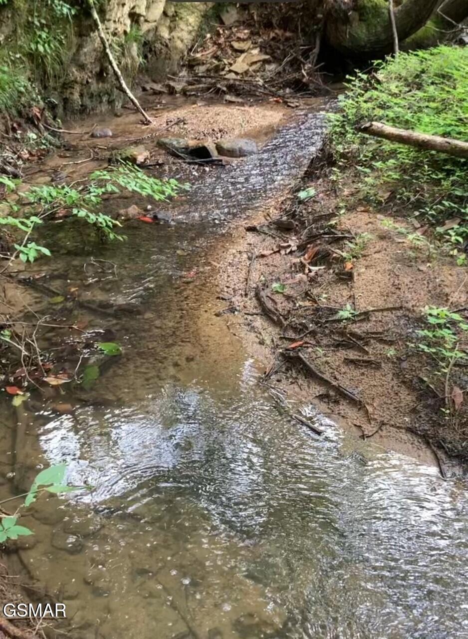 1477 Old Chilhowee Road Seymour TN 37865