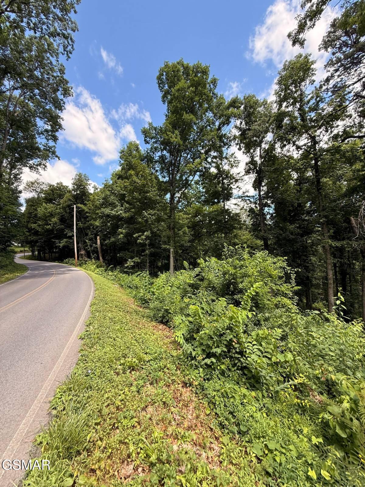 Lot 12 Cherokee Drive Dandridge TN 37725