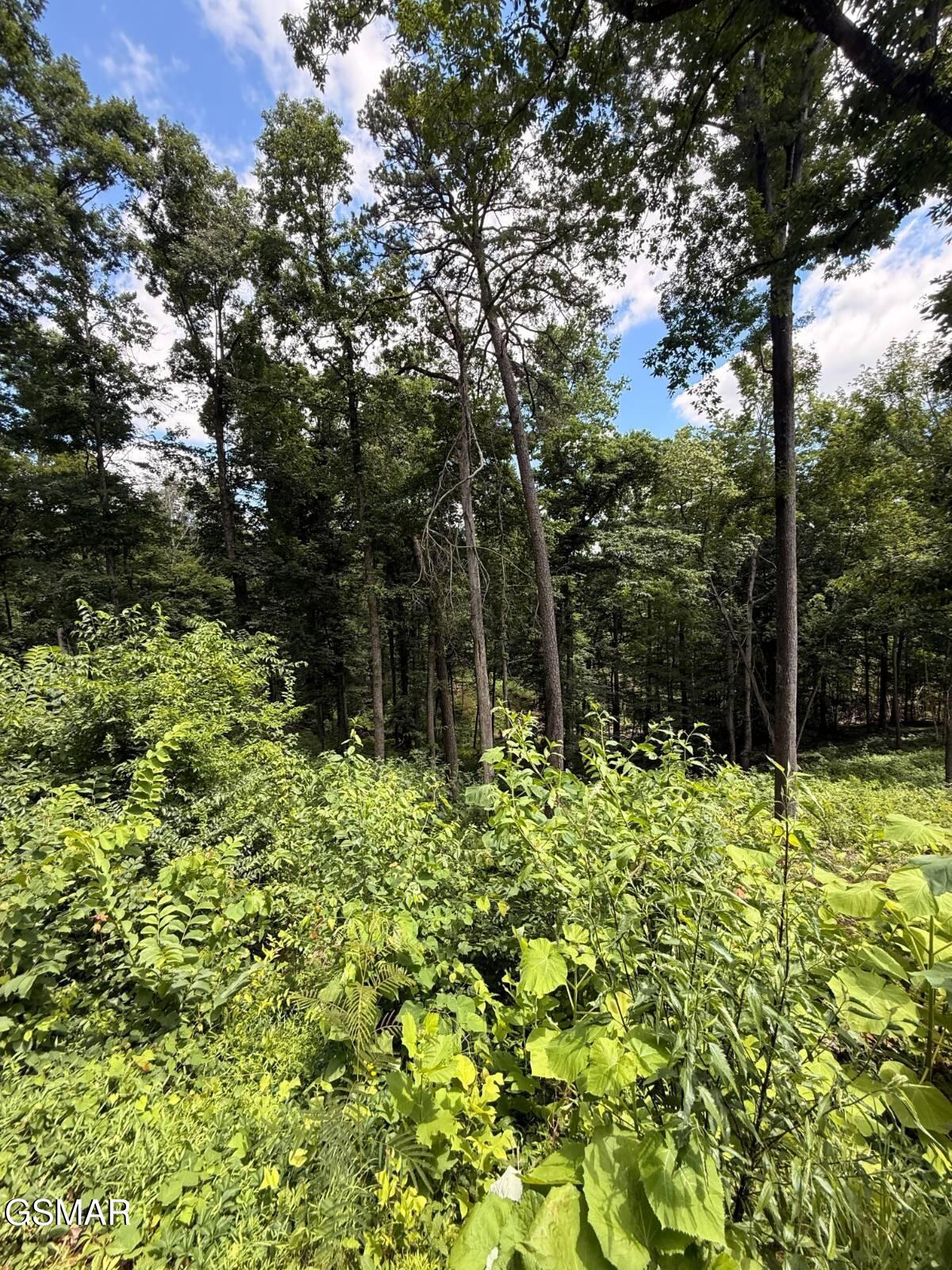 Lot 12 Cherokee Drive Dandridge TN 37725