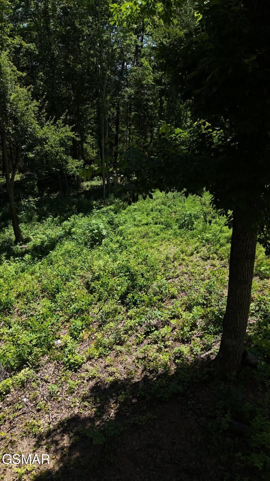 Lot 12 Cherokee Drive Dandridge TN 37725