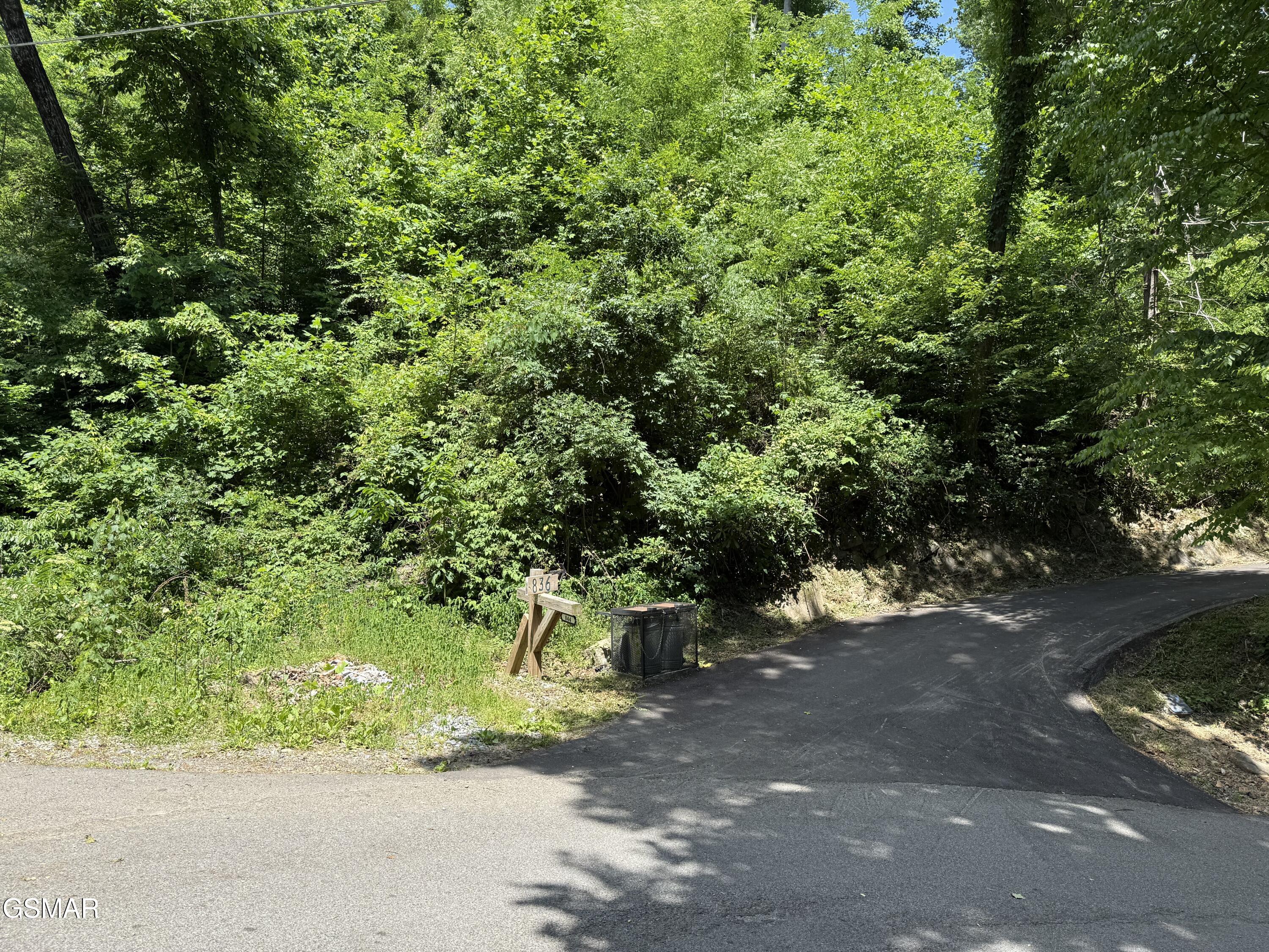 Lot 506 Crooked Ridge Road Gatlinburg TN 37738