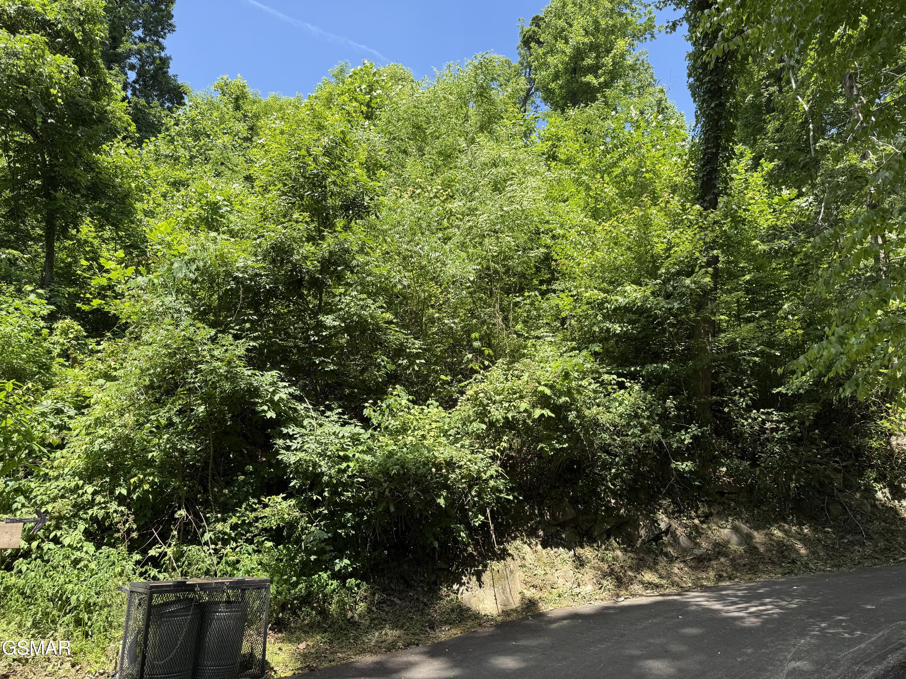 Lot 506 Crooked Ridge Road Gatlinburg TN 37738