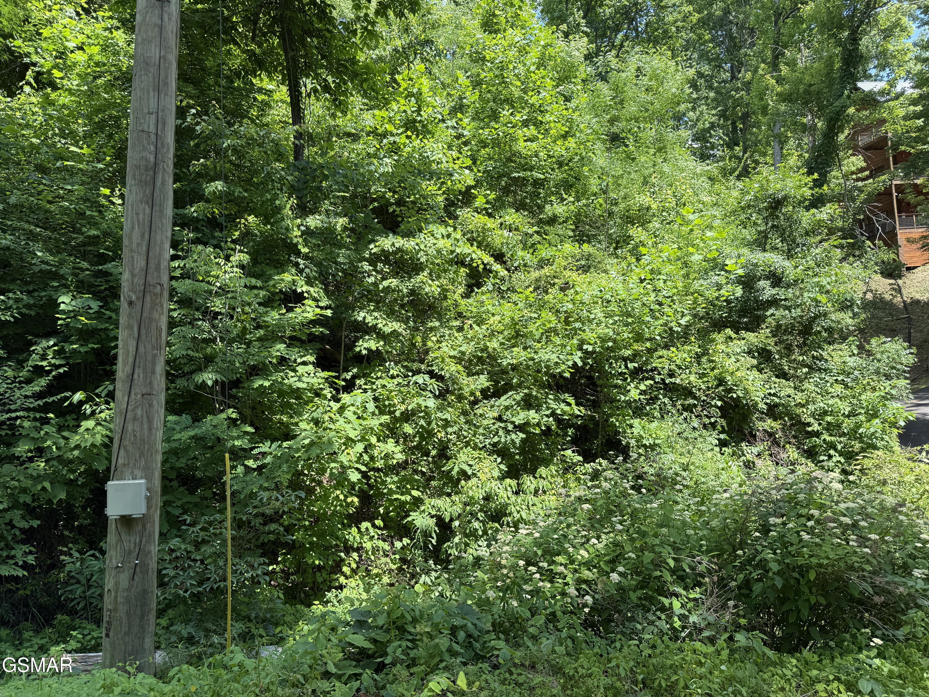 Lot 506 Crooked Ridge Road Gatlinburg TN 37738