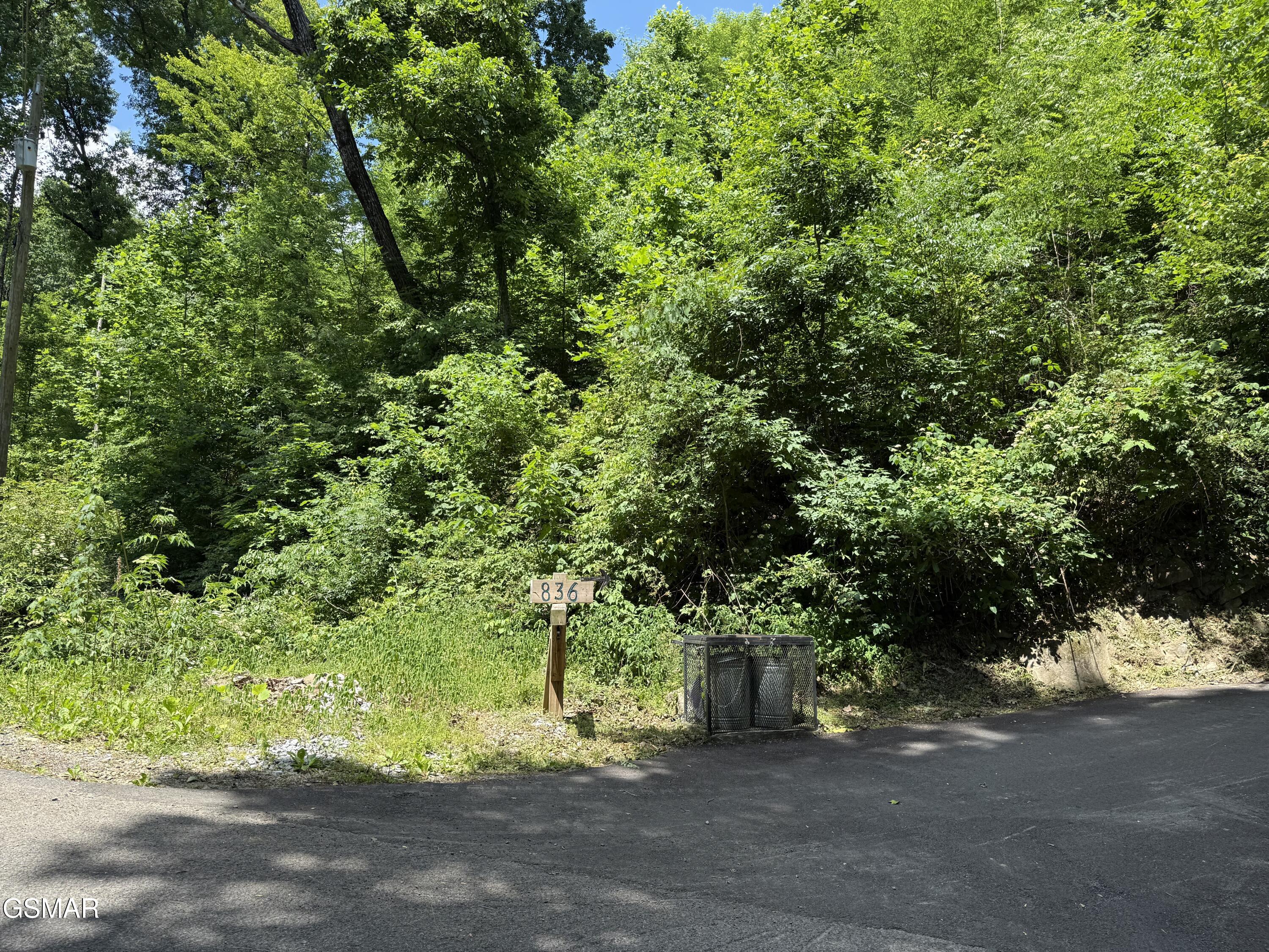 Lot 506 Crooked Ridge Road Gatlinburg TN 37738