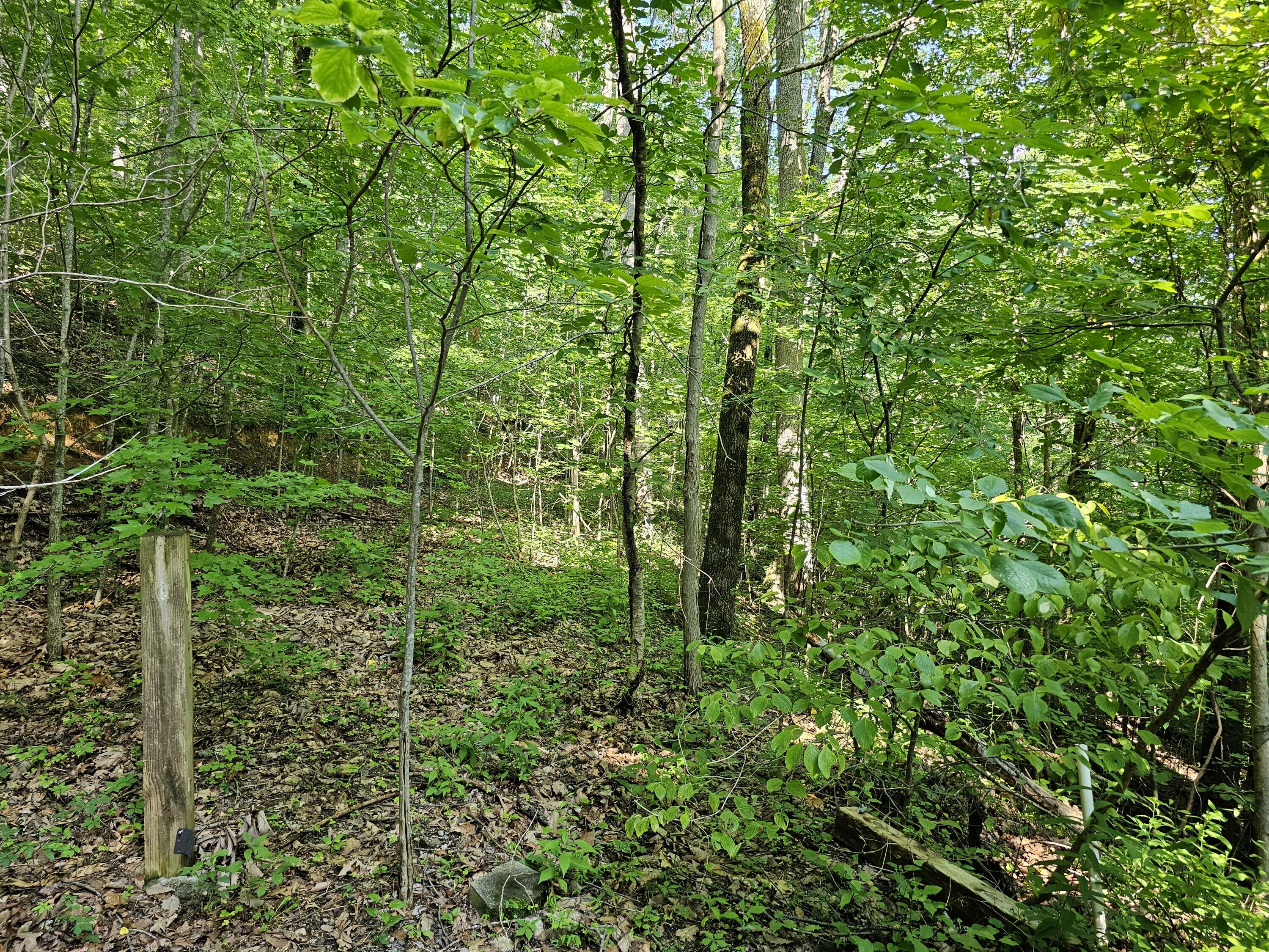 Lot 10 Kristina Way Sevierville TN 37862