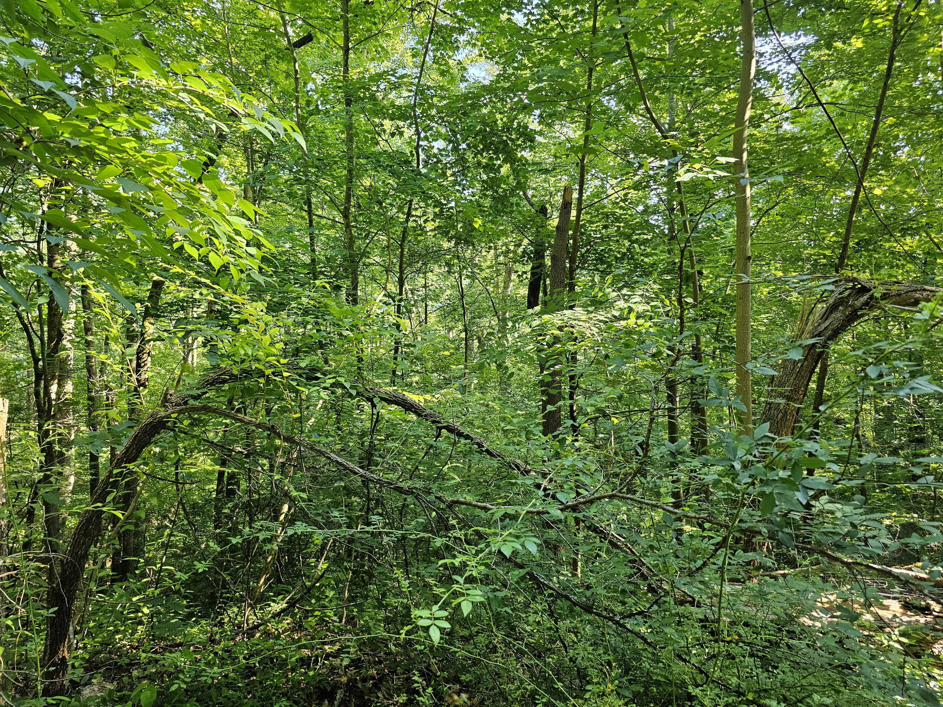 Lot 10 Kristina Way Sevierville TN 37862