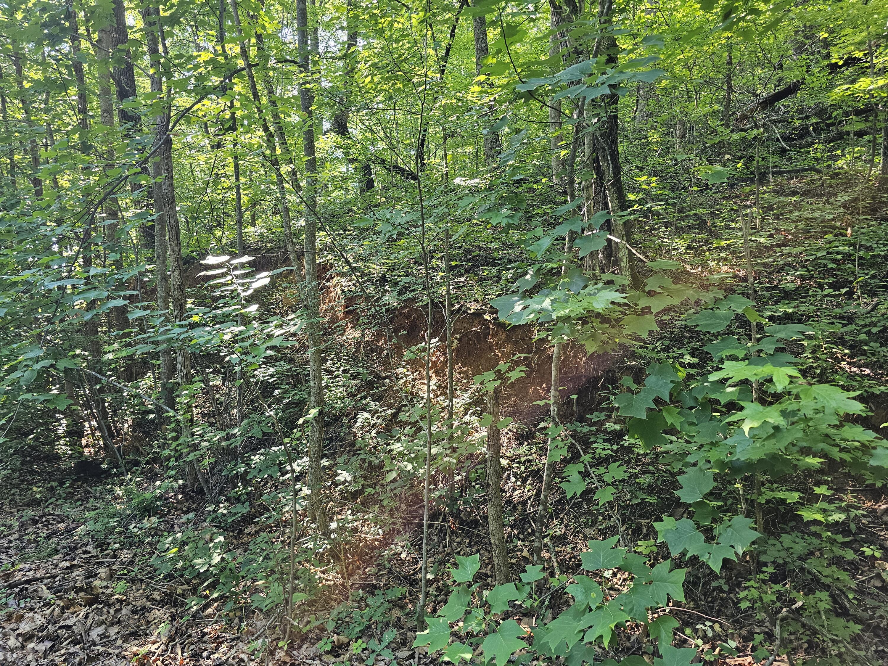 Lot 10 Kristina Way Sevierville TN 37862