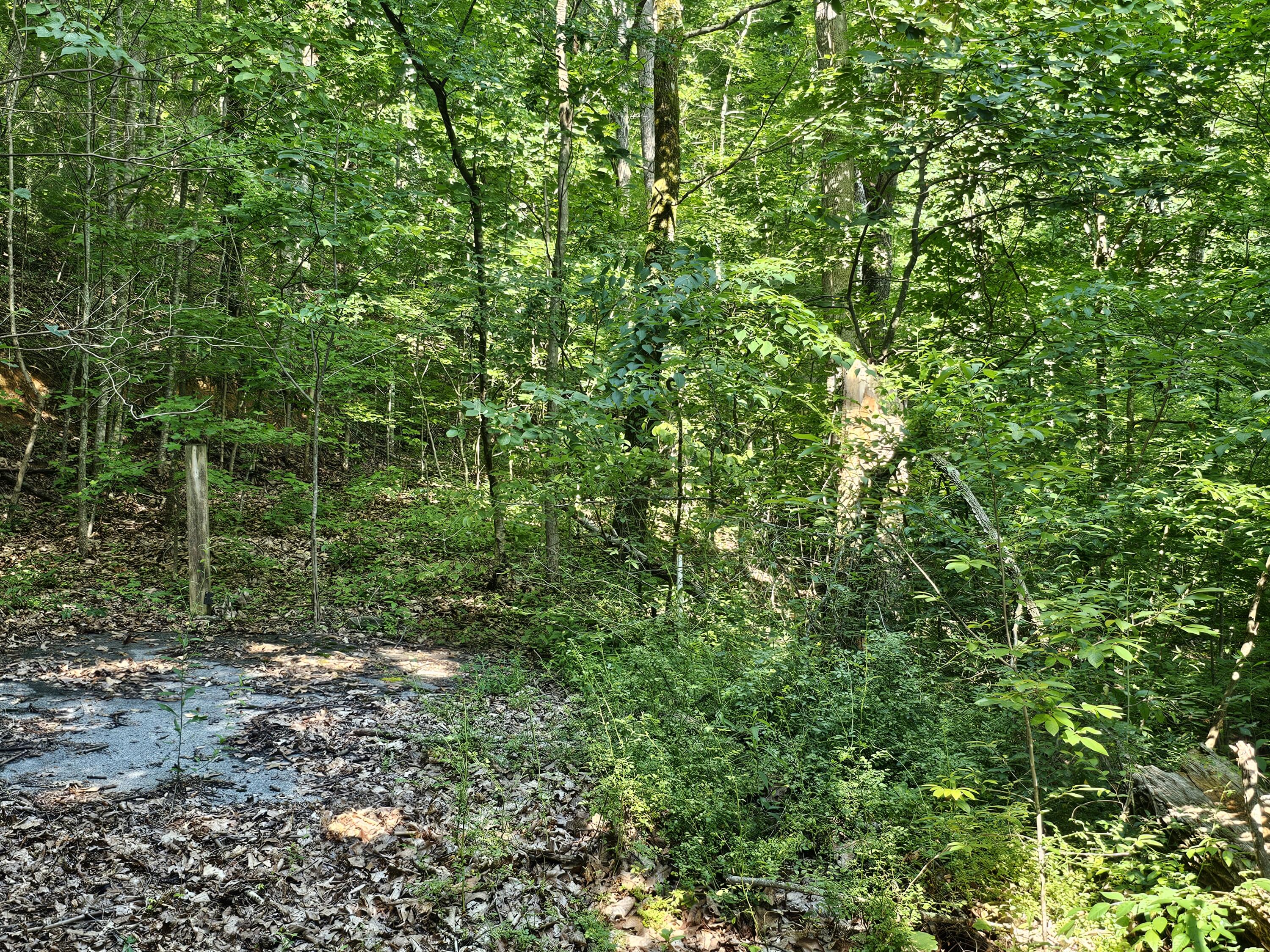 Lot 10 Kristina Way Sevierville TN 37862