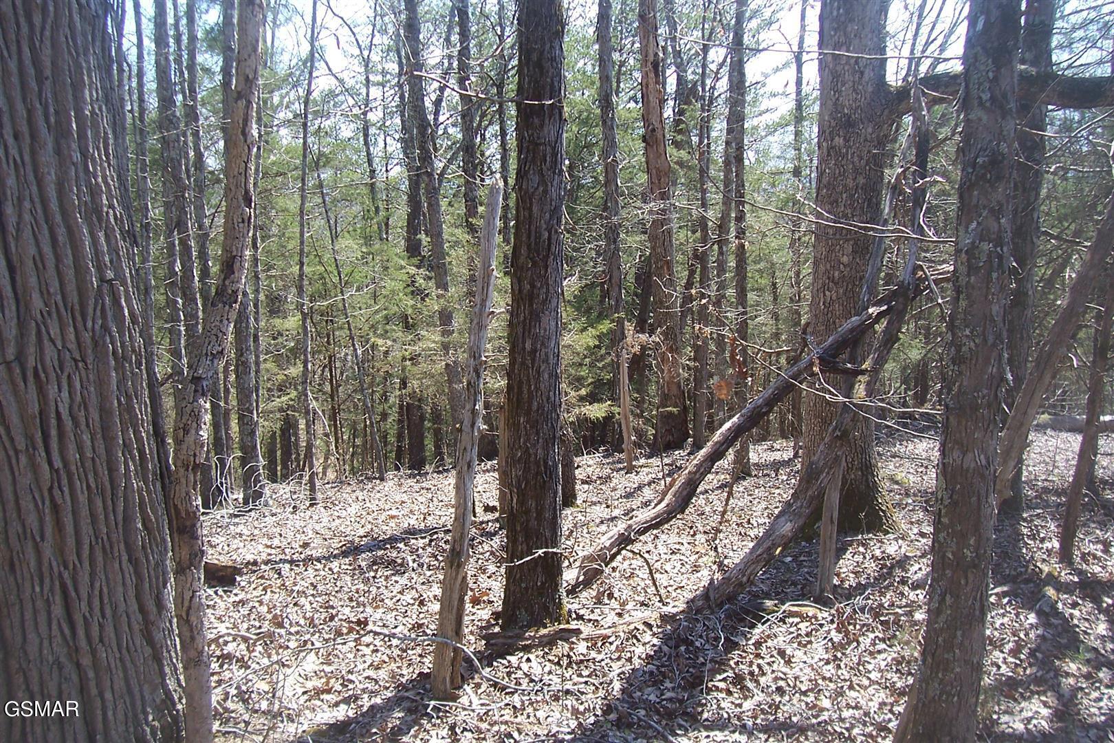 000 Flat Creek Road Sevierville TN 37876