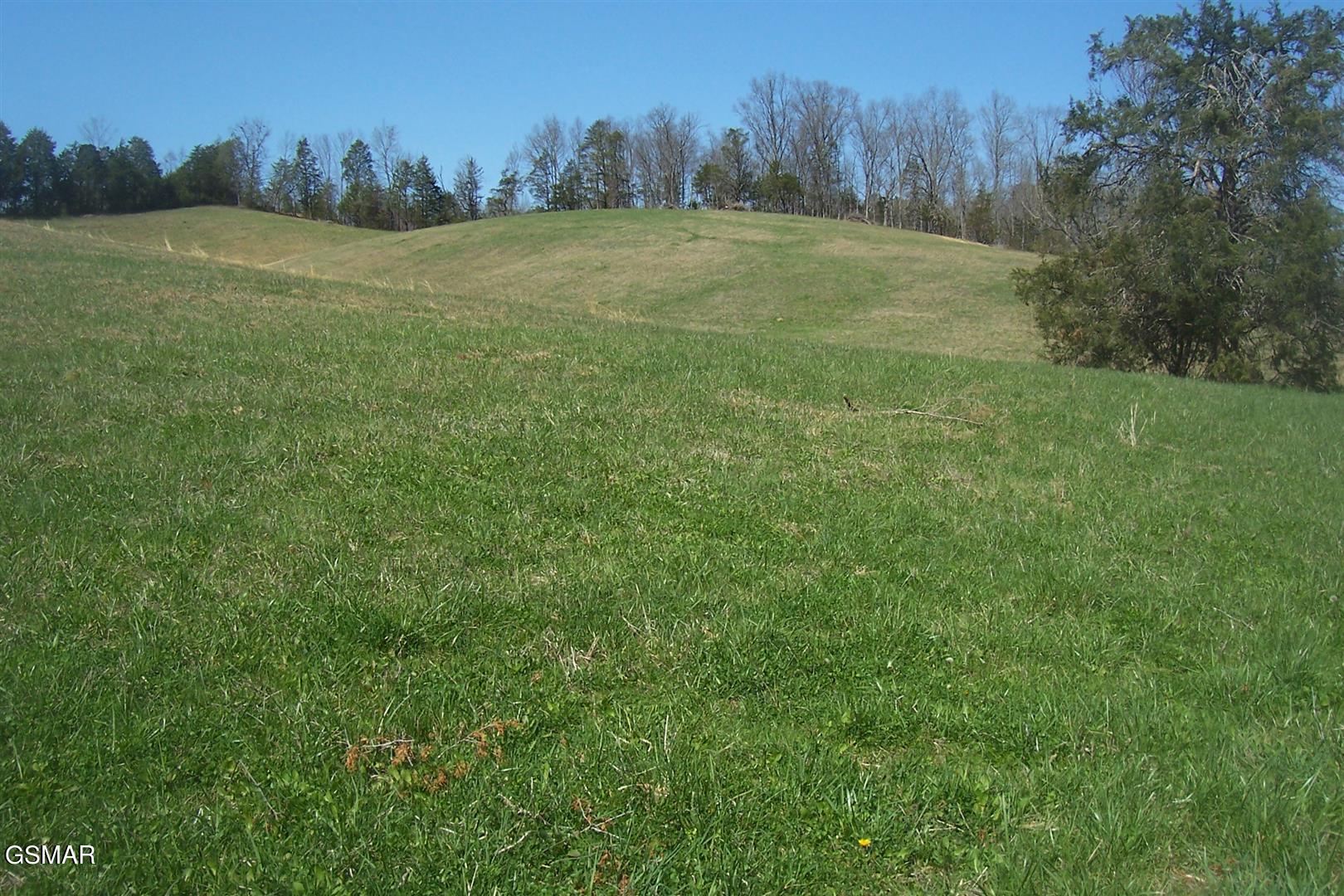 000 Flat Creek Road Sevierville TN 37876