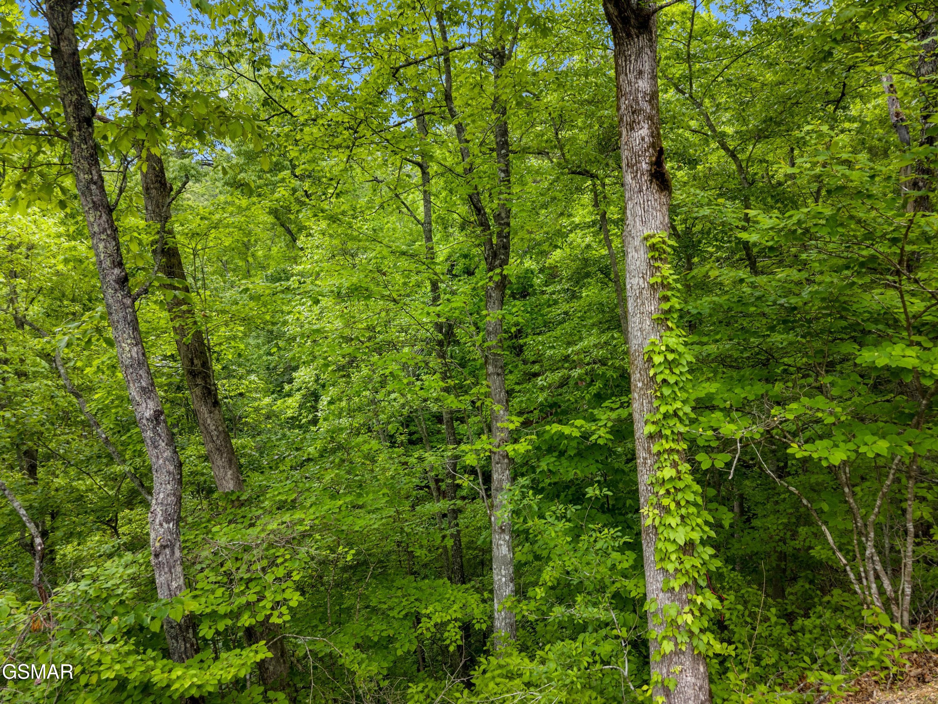 Lot 11ae Red Bone Way Sevierville TN 37876