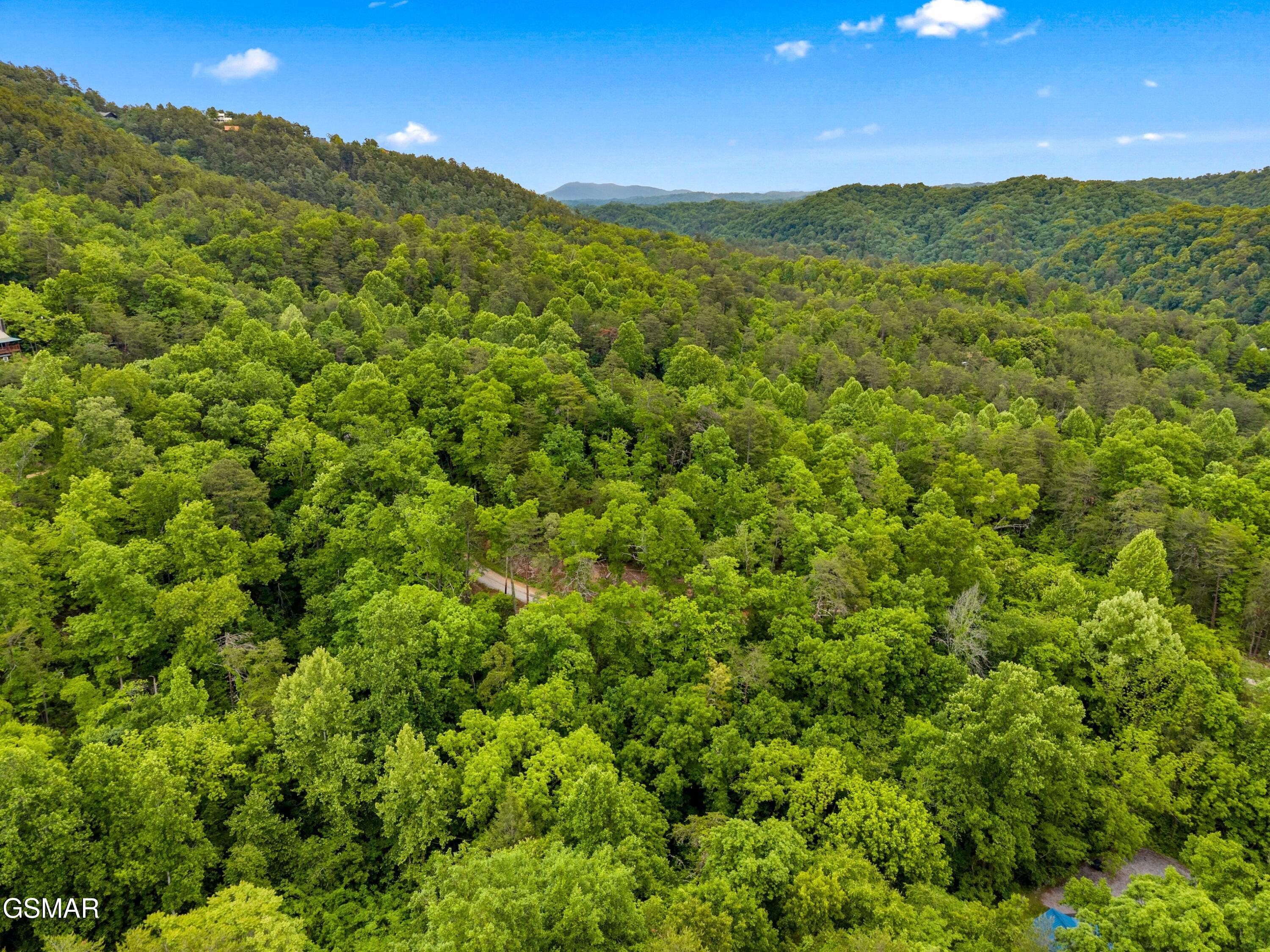 Lot 11ae Red Bone Way Sevierville TN 37876