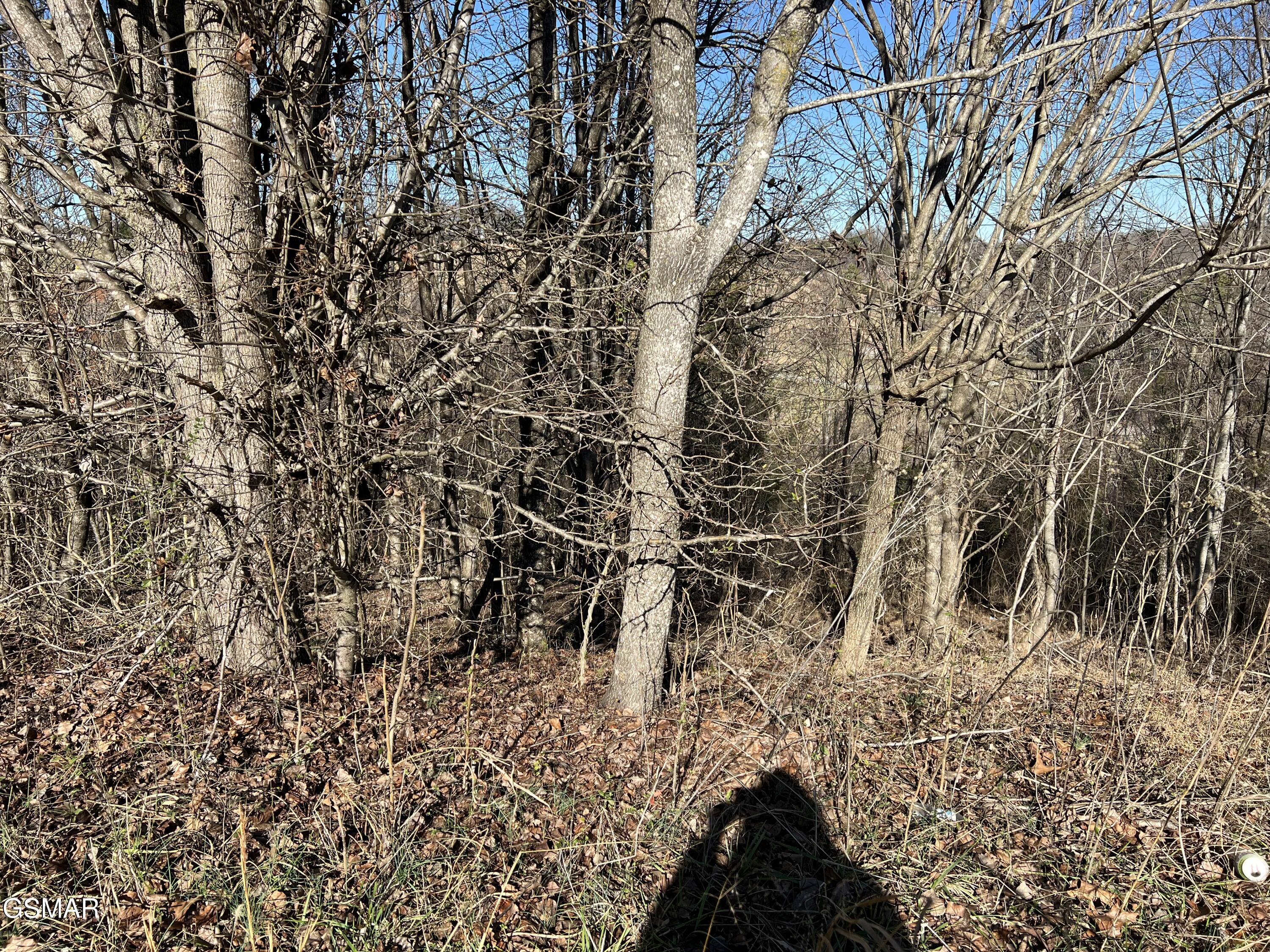 Lot 03 Baldwin View Drive New Market TN 37820