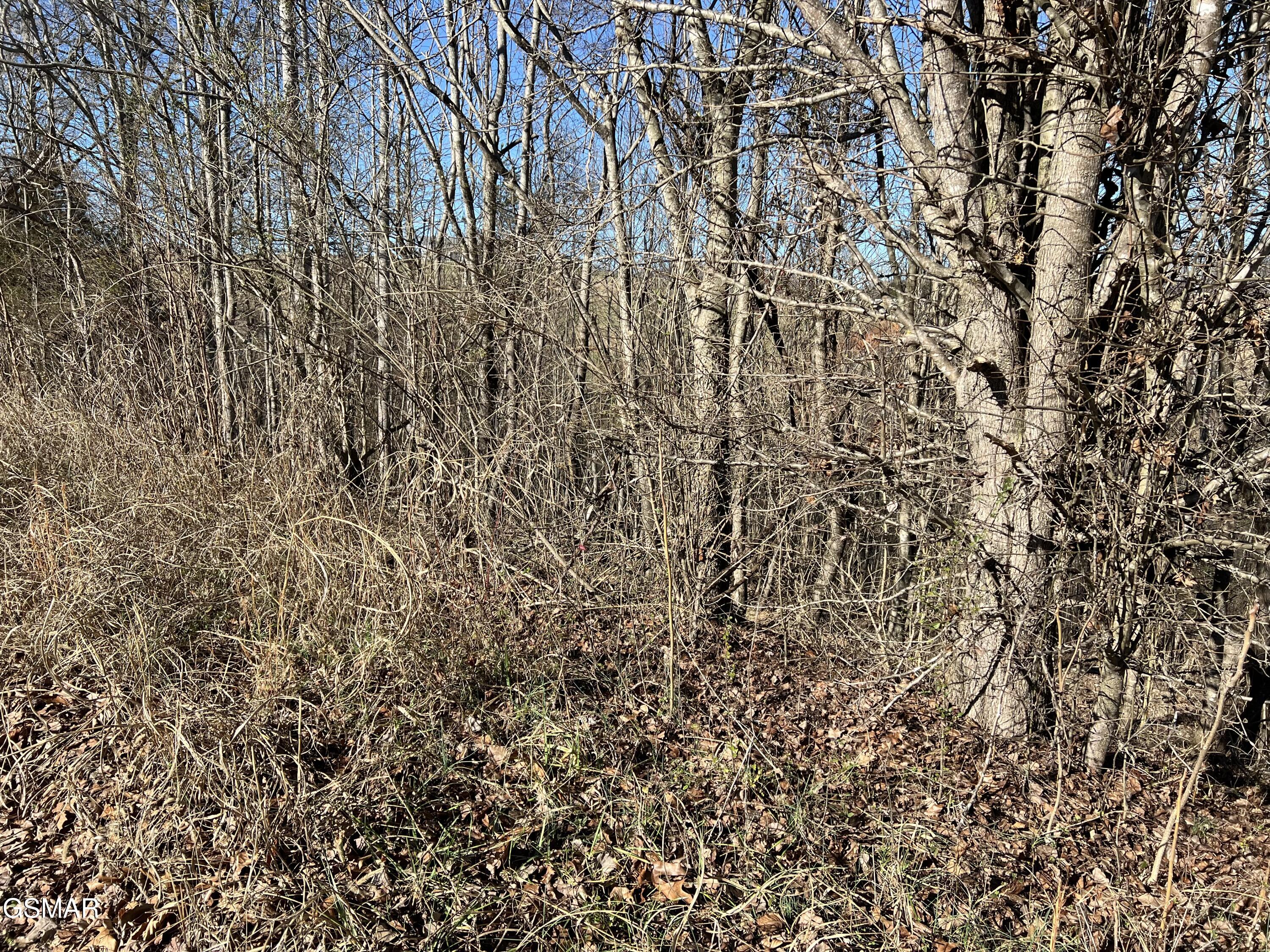 Lot 03 Baldwin View Drive New Market TN 37820