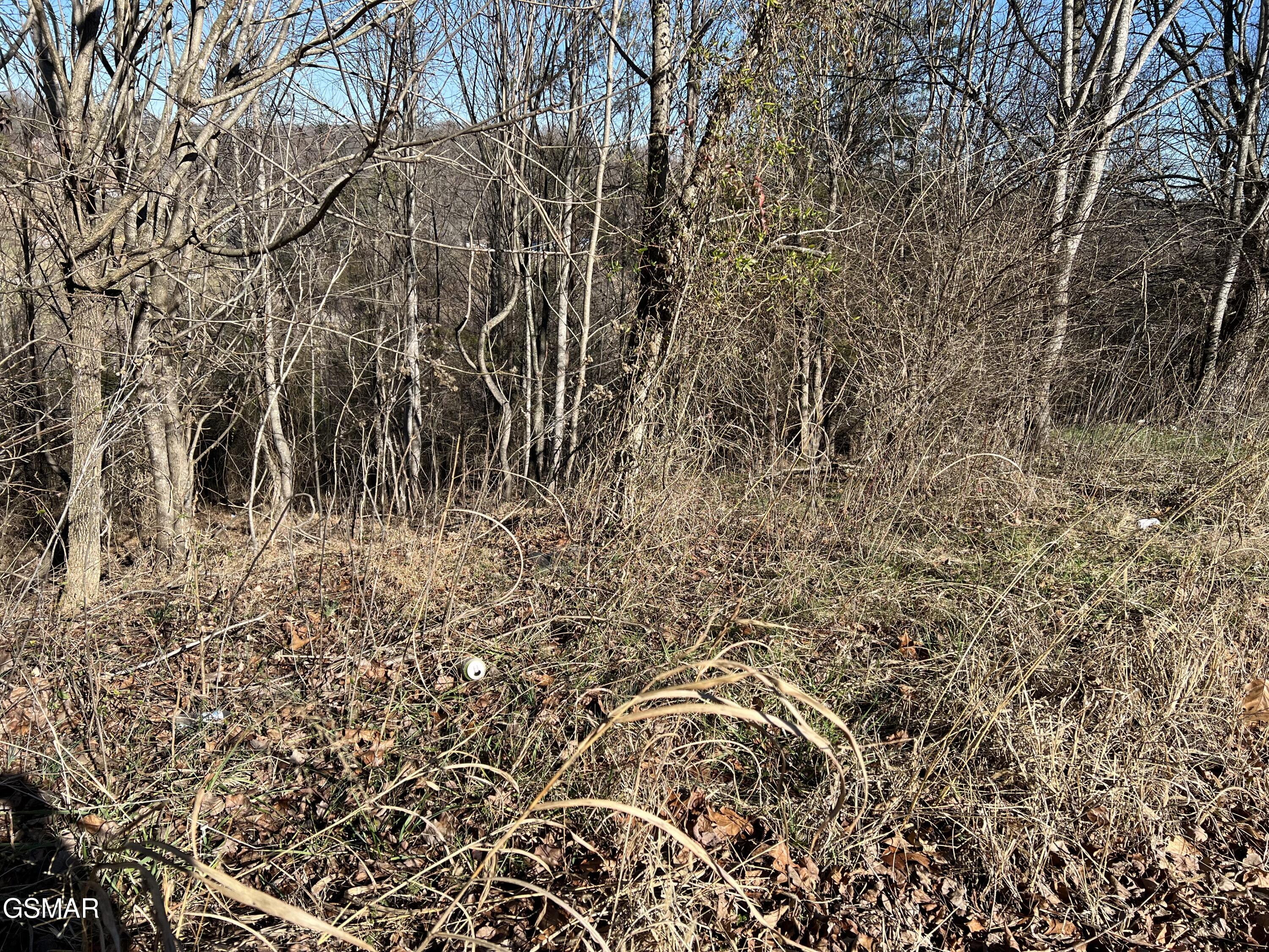 Lot 03 Baldwin View Drive New Market TN 37820