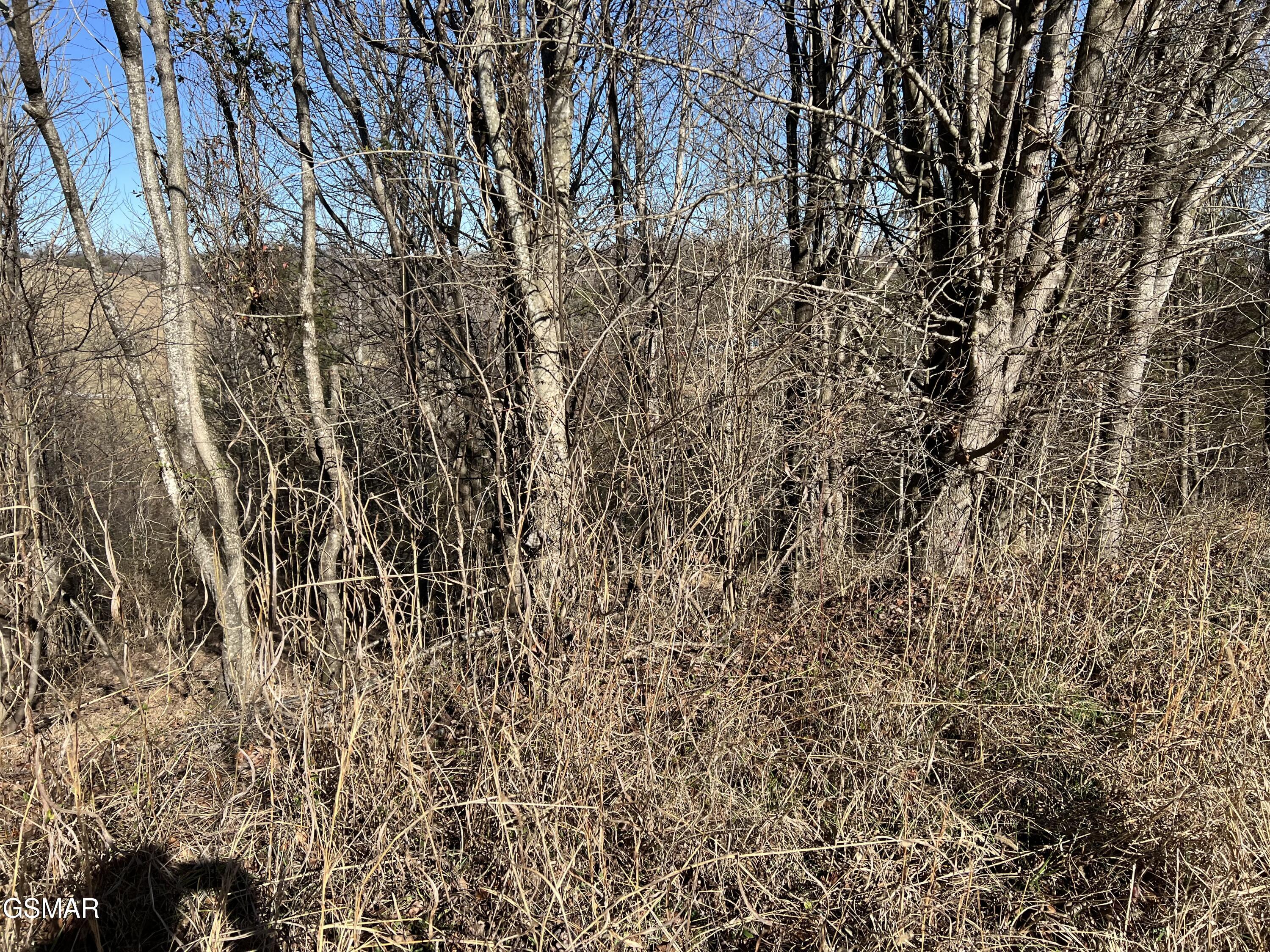 Lot 03 Baldwin View Drive New Market TN 37820