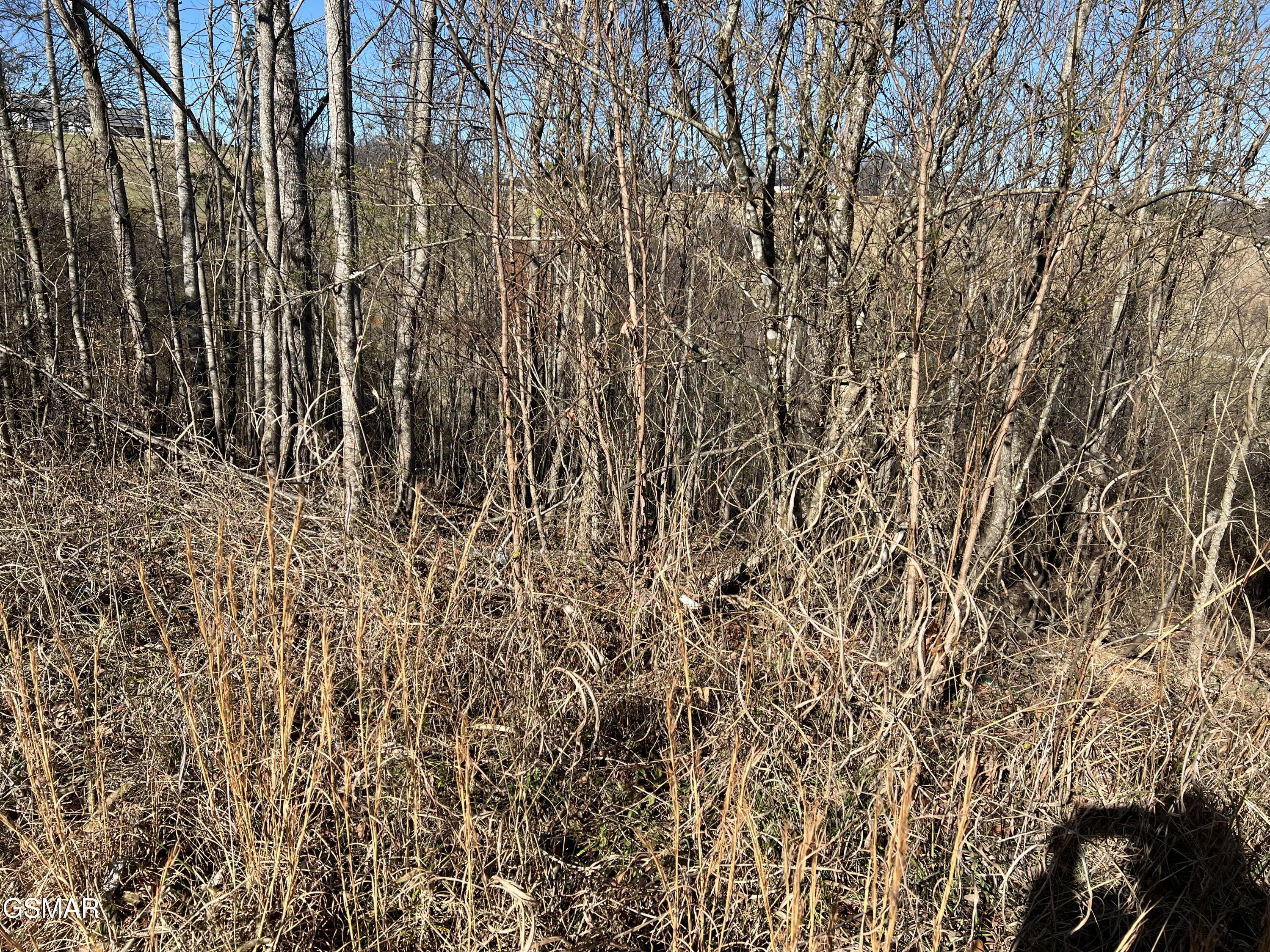Lot 03 Baldwin View Drive New Market TN 37820