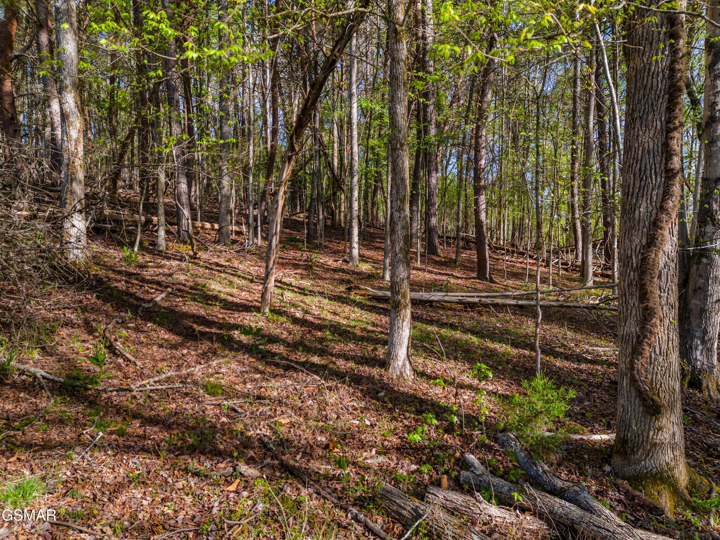 Lot 13 Back Nine Drive Baneberry TN 37890