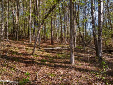 Lot 13 Back Nine Drive Baneberry TN 37890